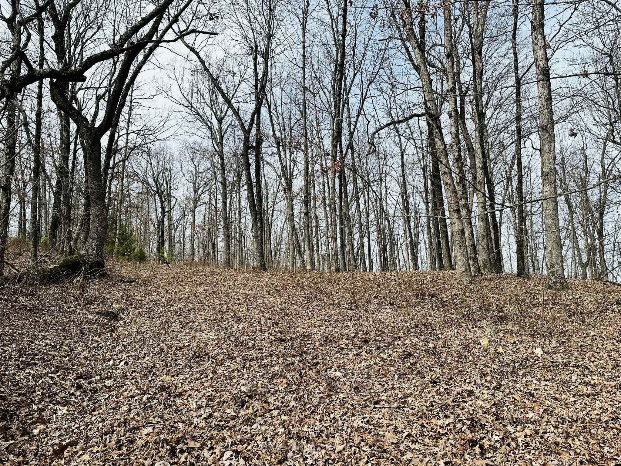 41 S 9 Melbourne, AR Halsey Thrasher Harpole Real Estate Group