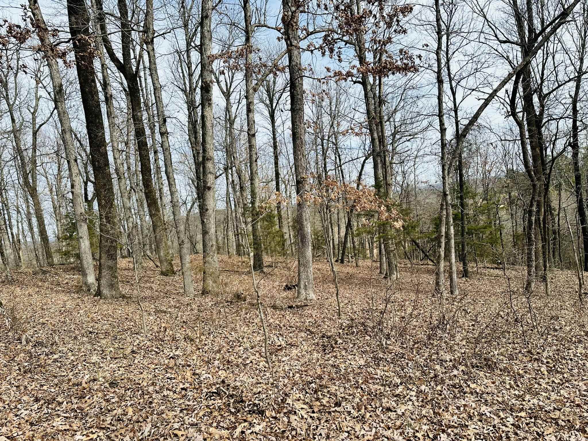 41 S 9 Melbourne, AR Halsey Thrasher Harpole Real Estate Group