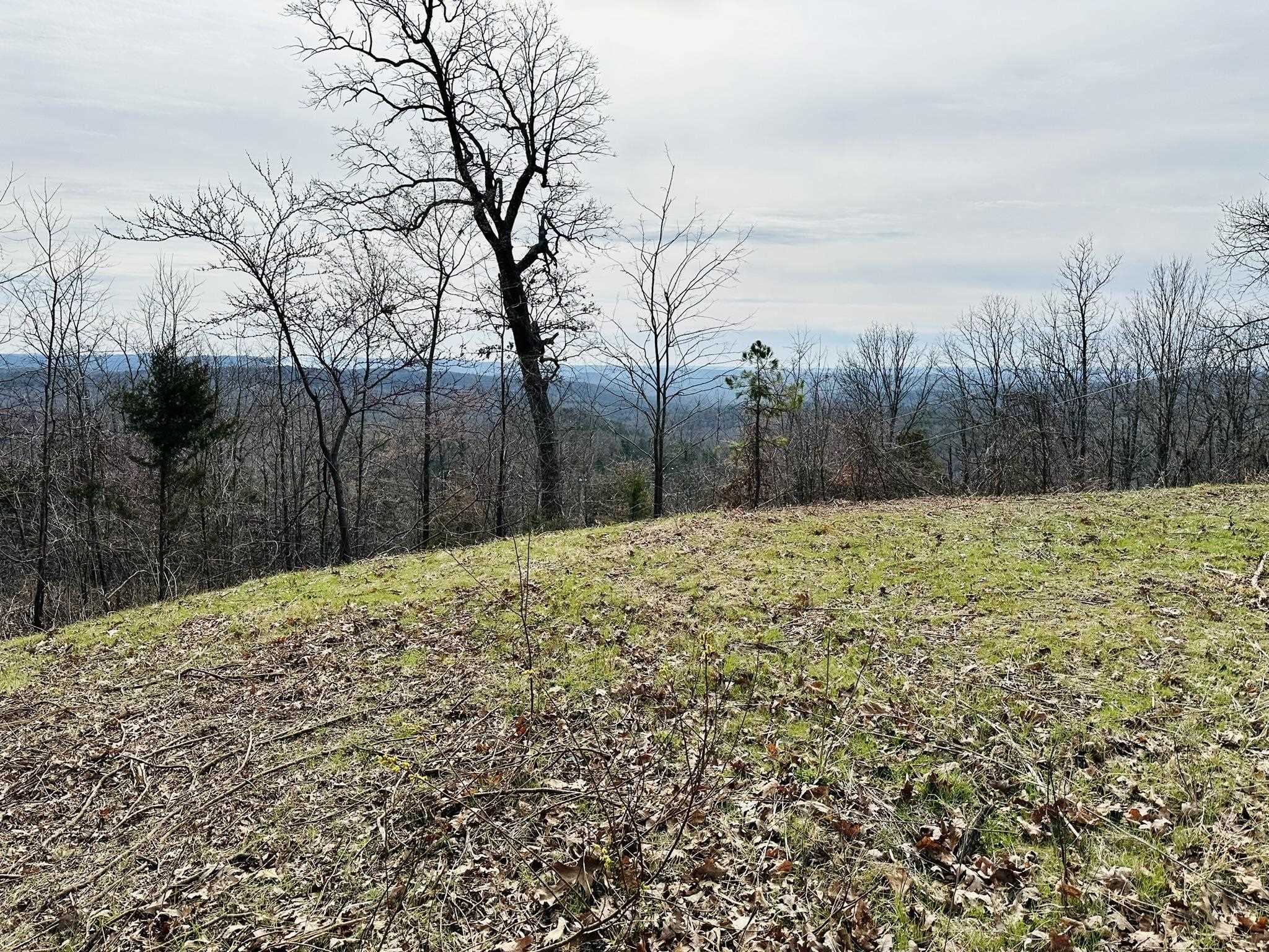 41 S 9 Melbourne, AR Halsey Thrasher Harpole Real Estate Group