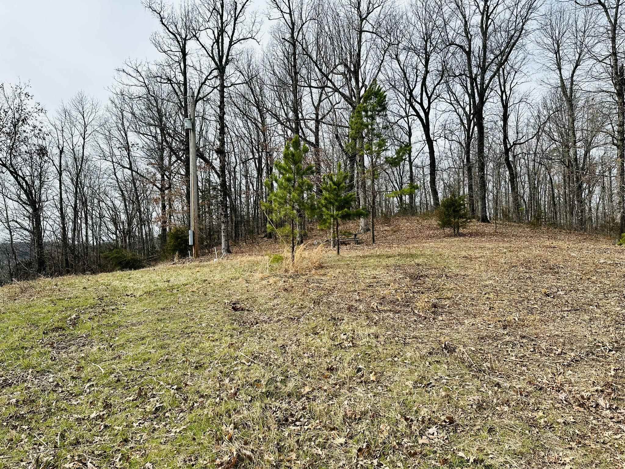 41 S 9 Melbourne, AR Halsey Thrasher Harpole Real Estate Group