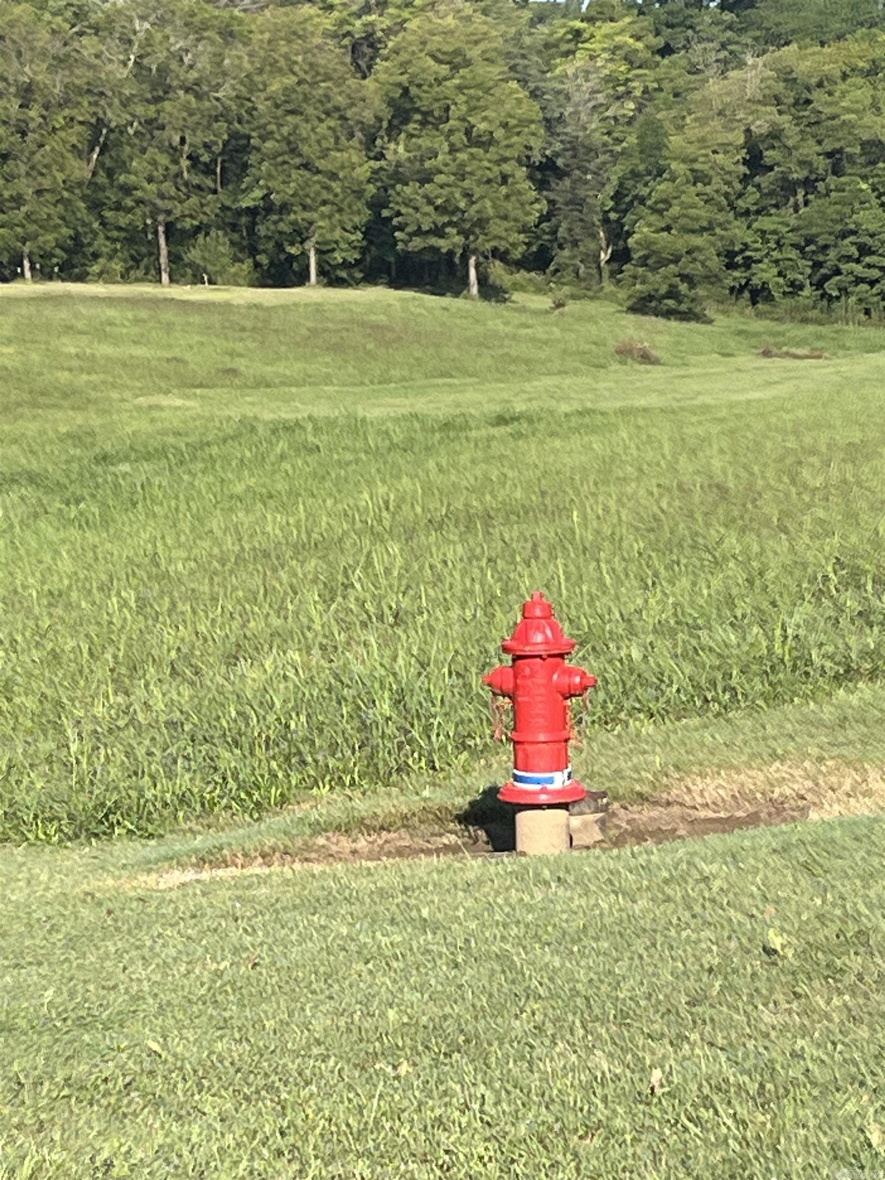 Lot 14  Yorktown  Mountain View, AR