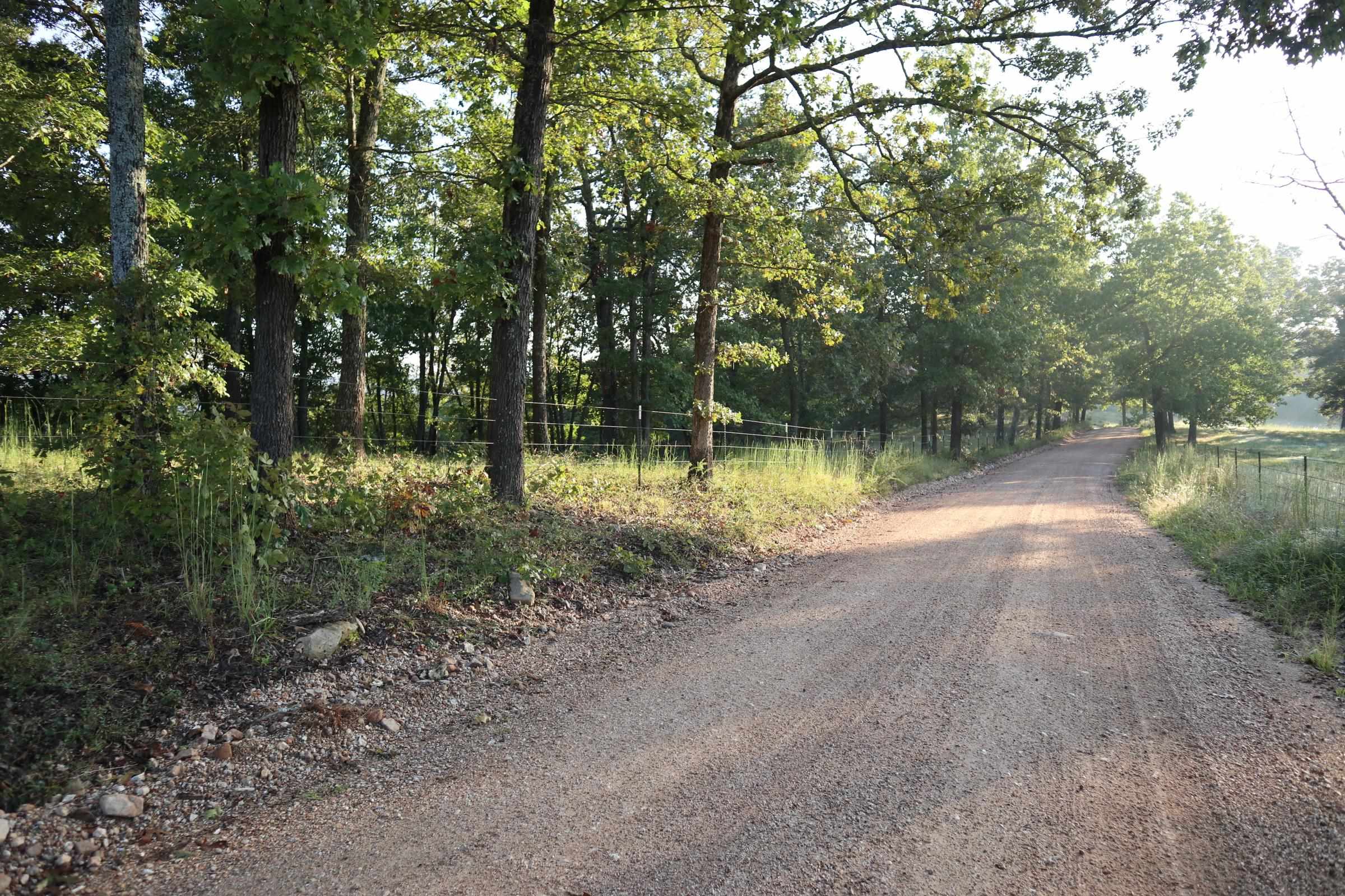 TBD  Old Ridge Rd  Sturkie, AR