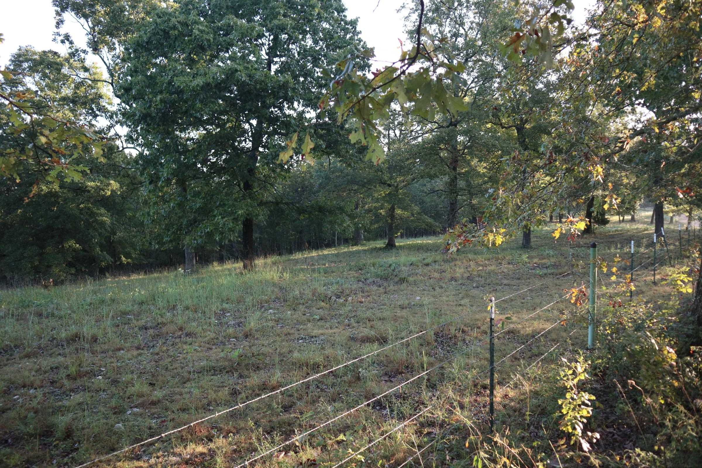 TBD  Old Ridge Rd  Sturkie, AR