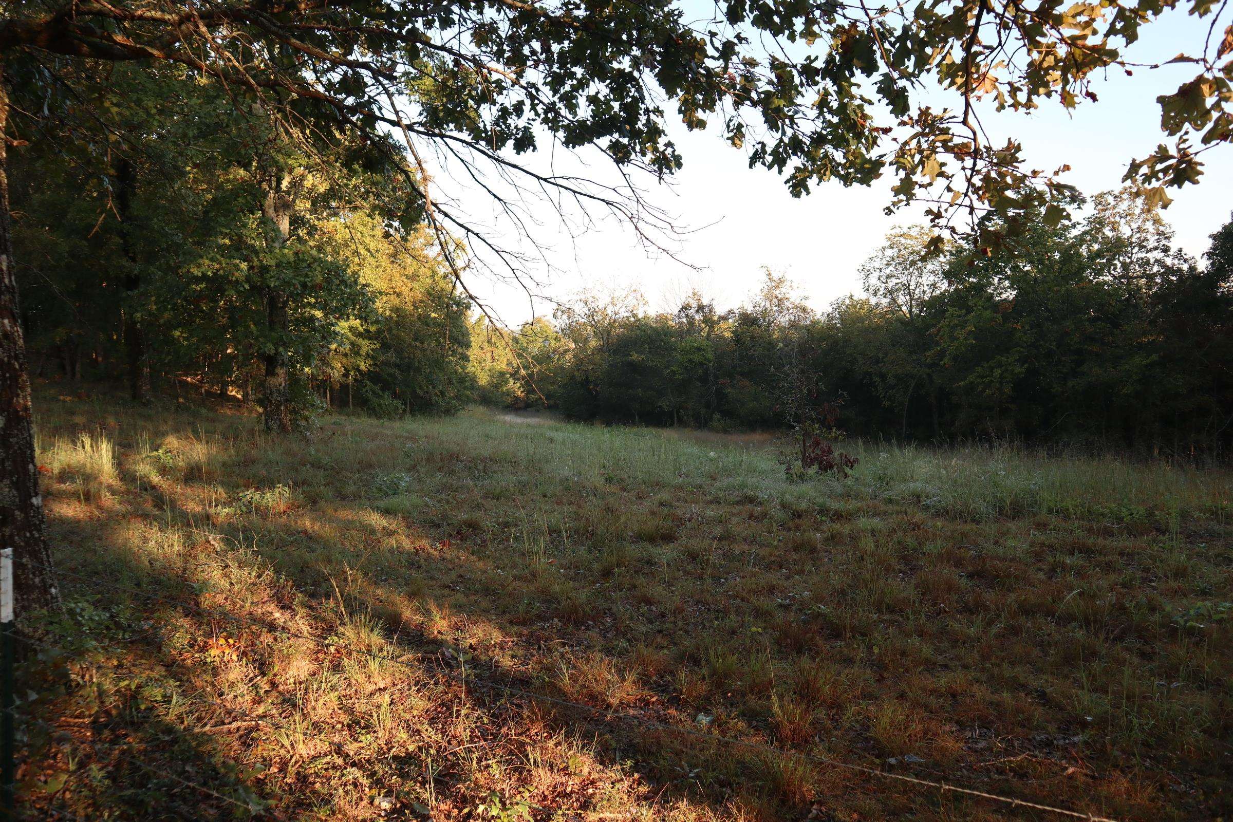 TBD  Old Ridge Rd  Sturkie, AR