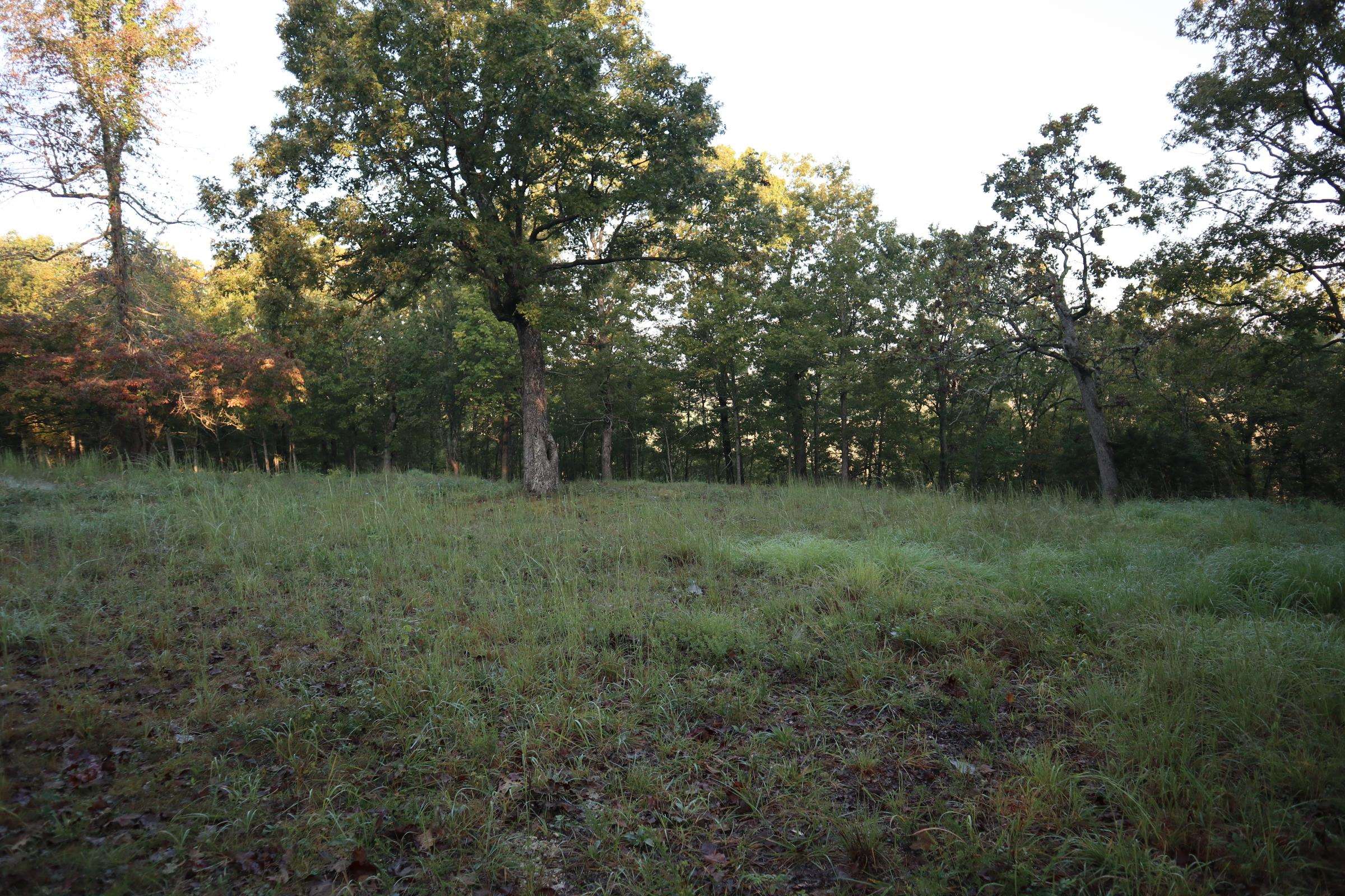 TBD  Old Ridge Rd  Sturkie, AR