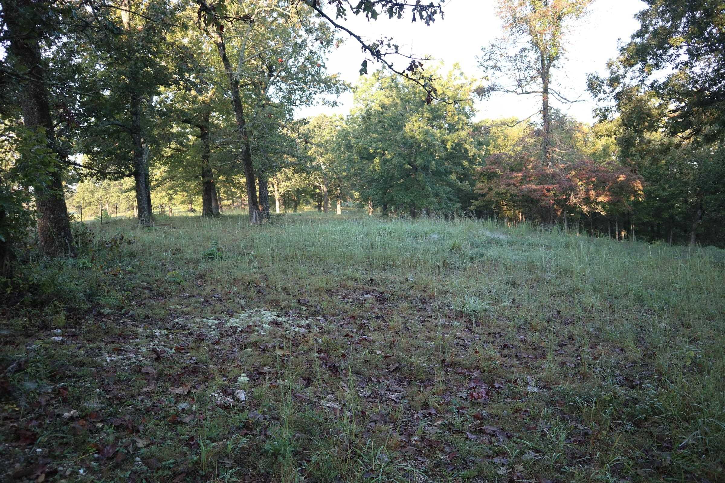 TBD  Old Ridge Rd  Sturkie, AR