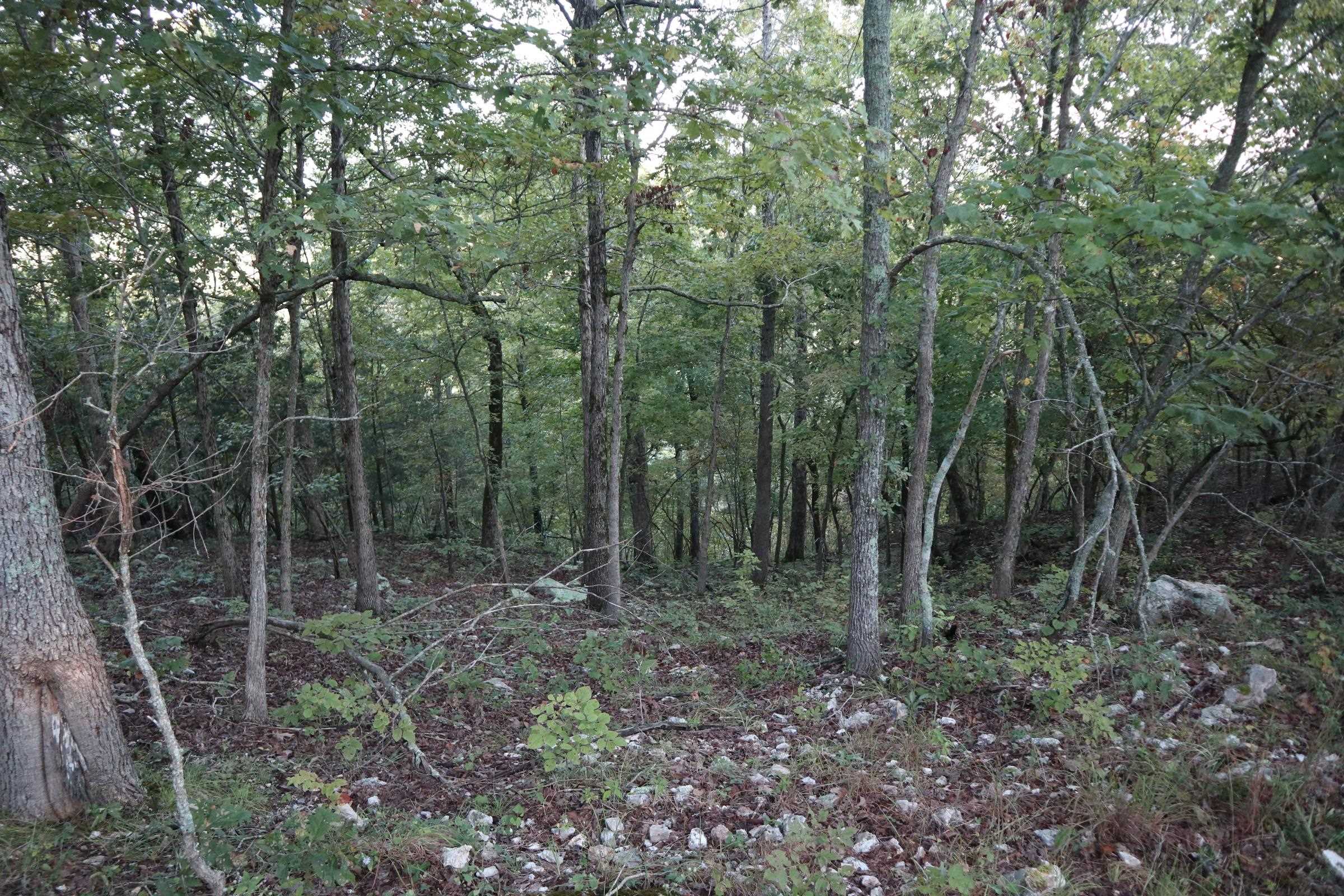 TBD  Old Ridge Rd  Sturkie, AR