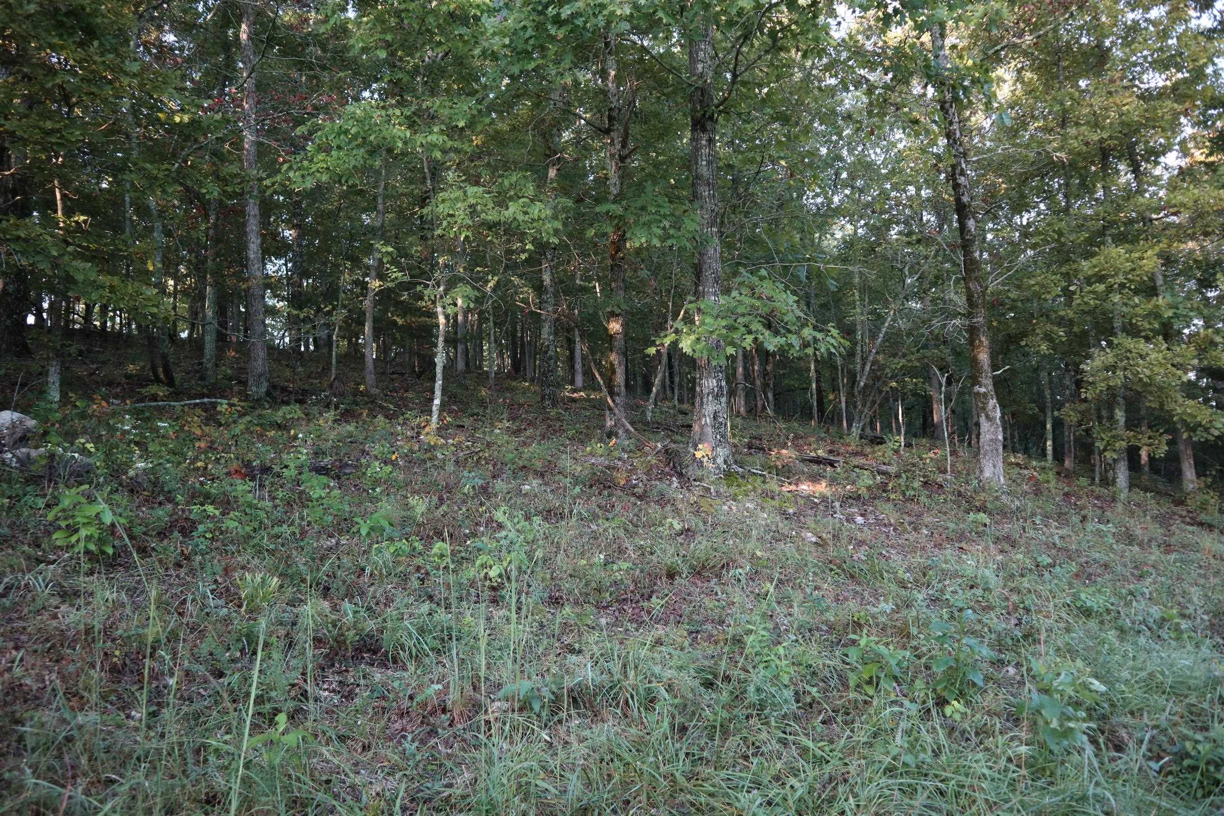 TBD  Old Ridge Rd  Sturkie, AR