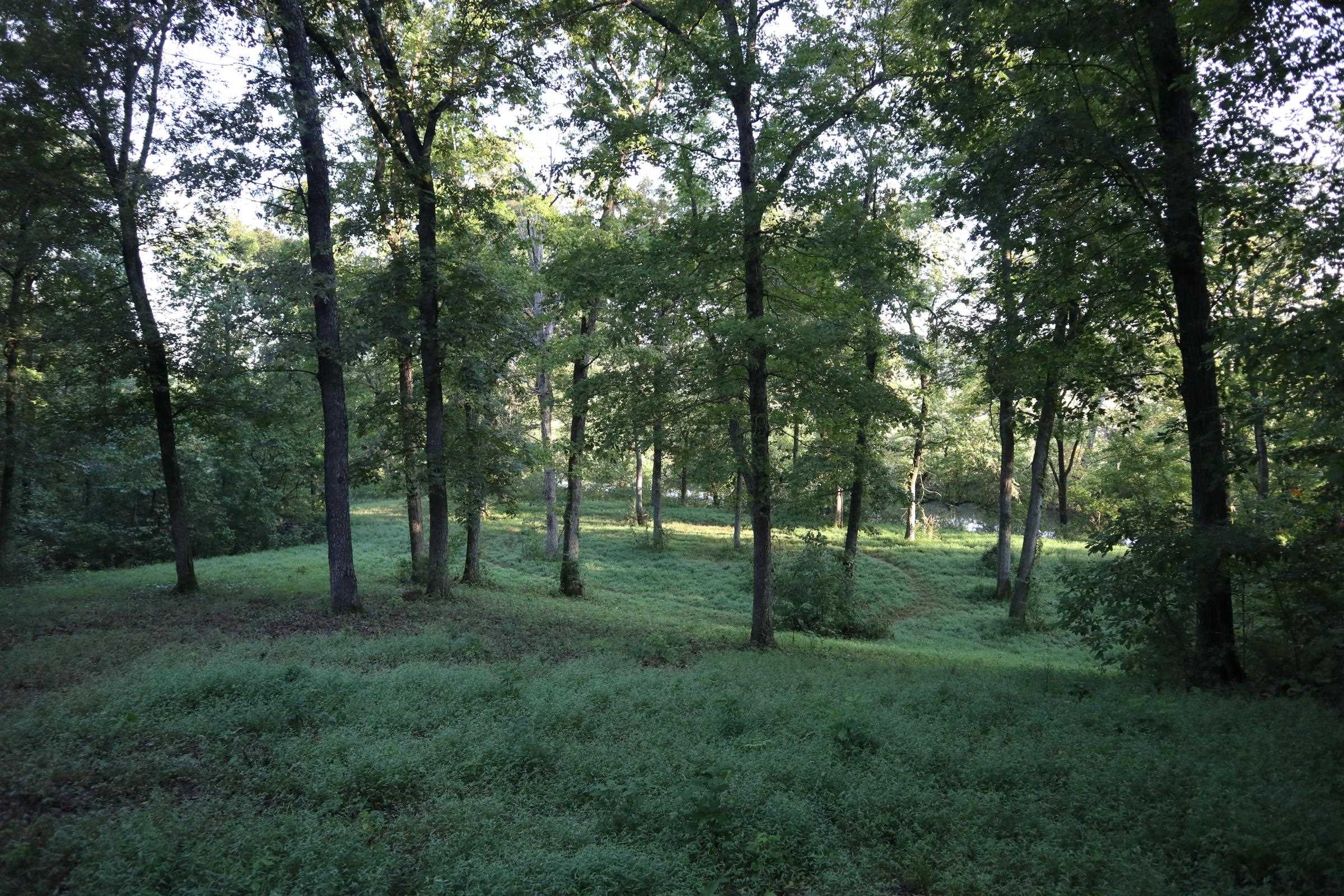TBD  Old Ridge Rd  Sturkie, AR