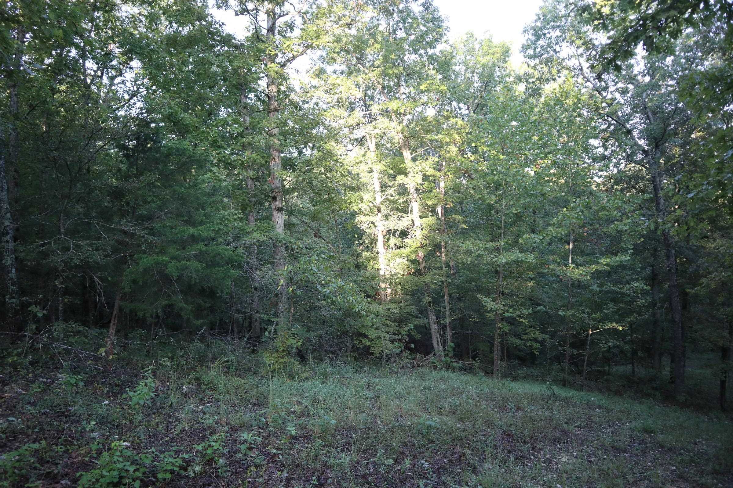 TBD  Old Ridge Rd  Sturkie, AR