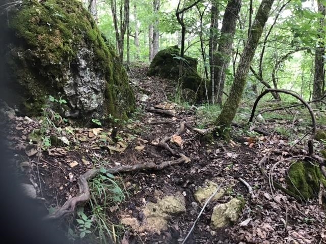 TBD  Old Ridge Rd  Sturkie, AR