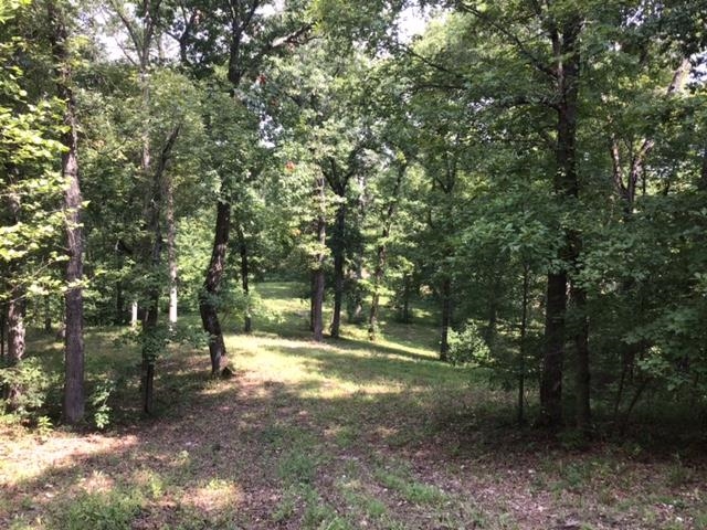 TBD  Old Ridge Rd  Sturkie, AR