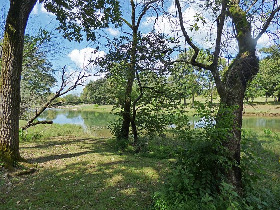 39  Riverview  Hardy, AR