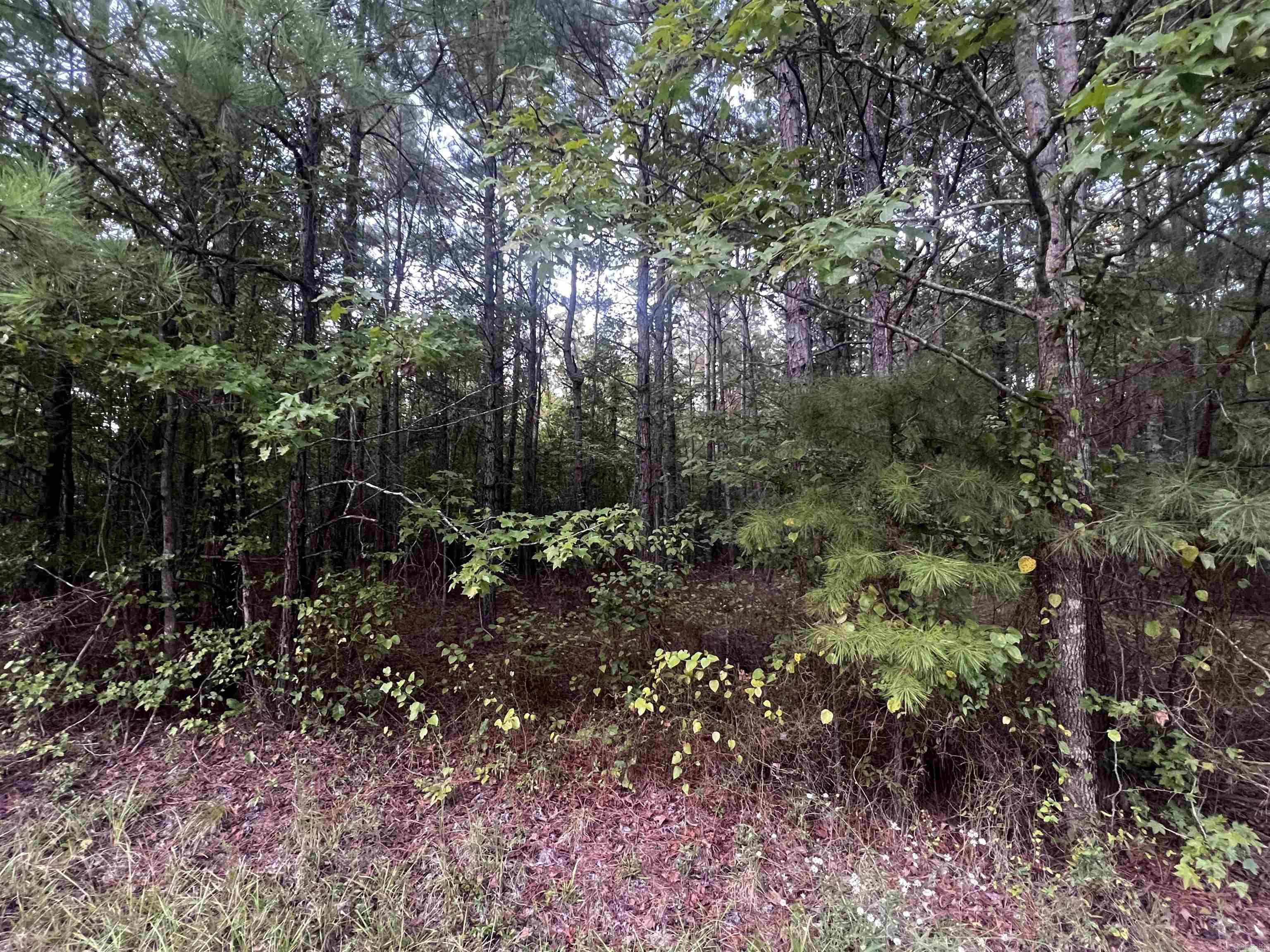 0000  Lanni Lane  White Hall, AR
