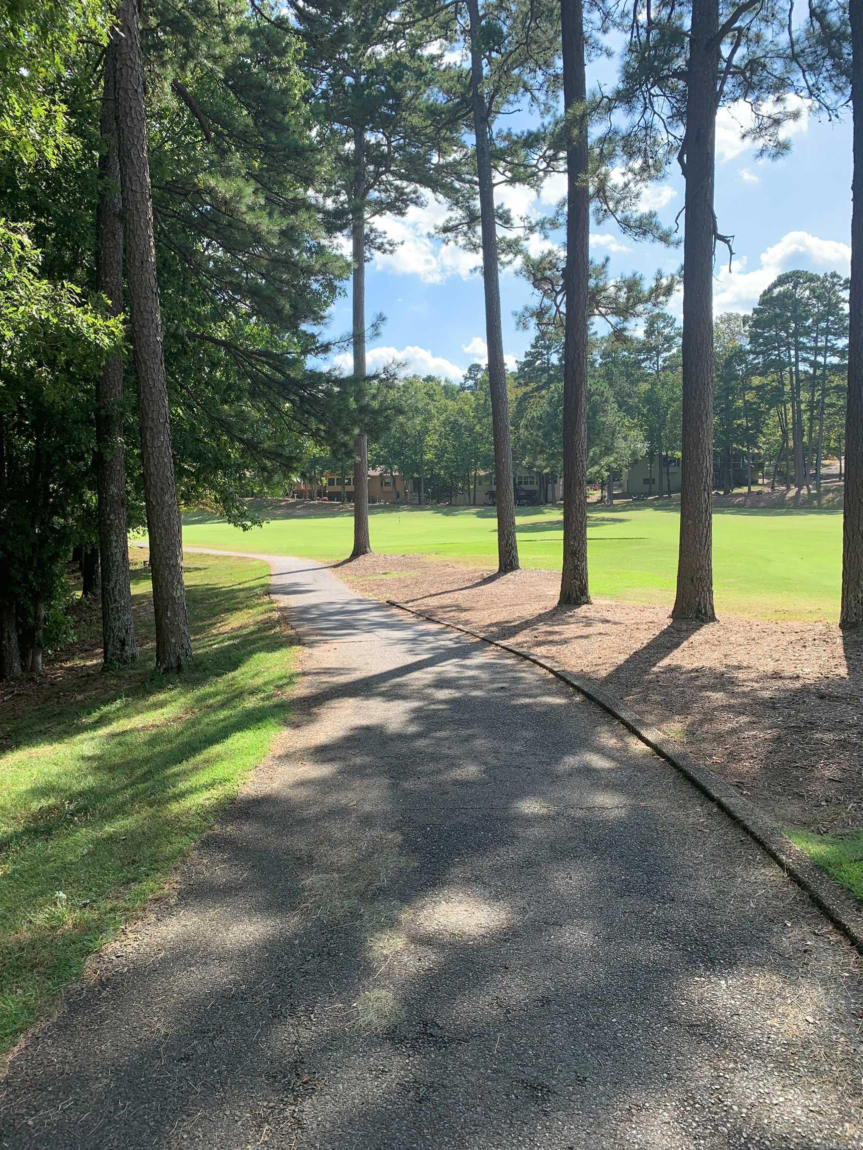 18  Acceso  Hot Springs Village, AR