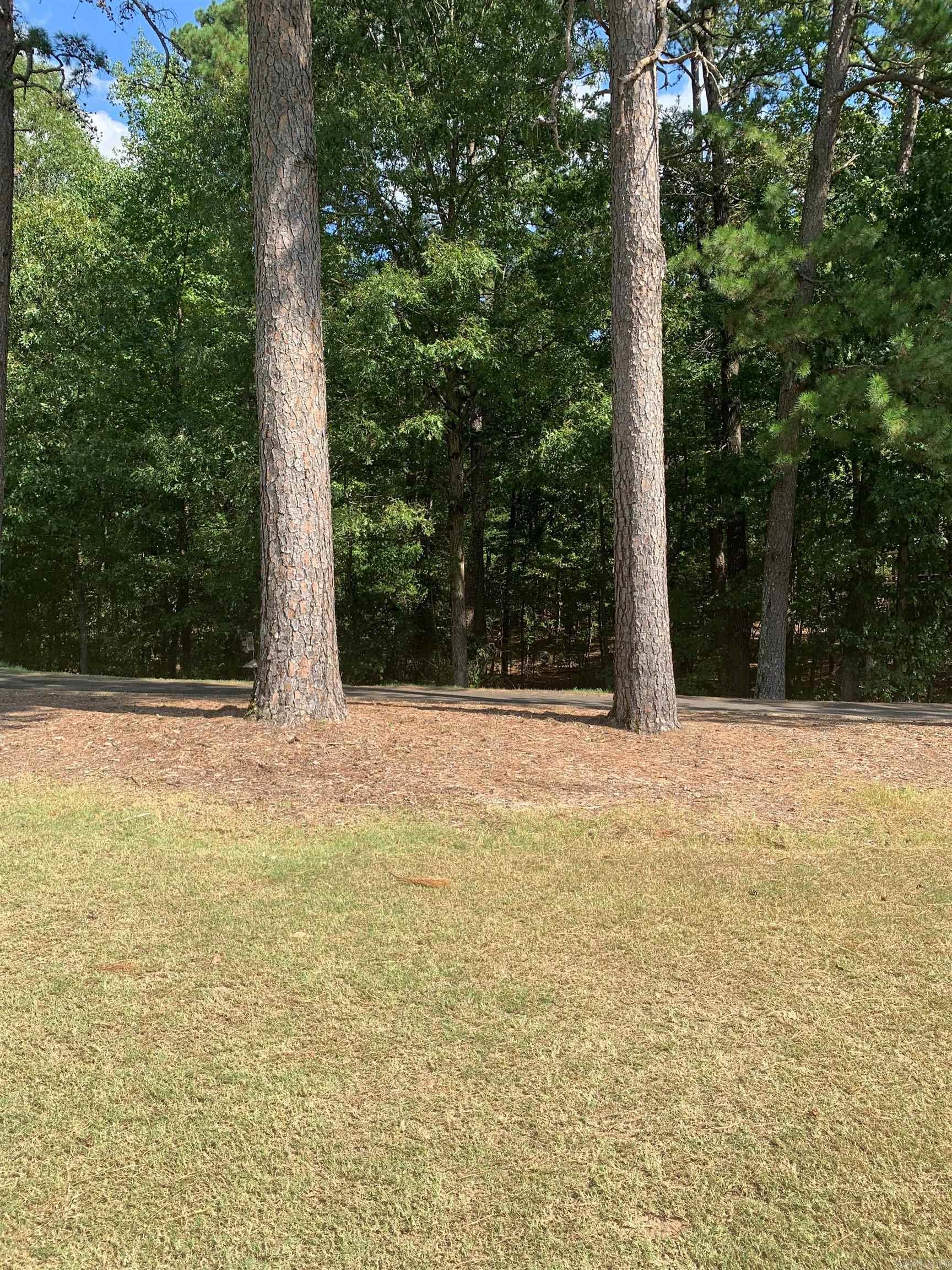 18  Acceso  Hot Springs Village, AR