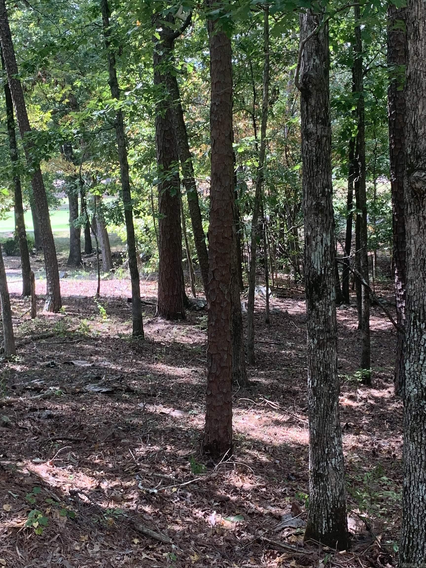 18  Acceso  Hot Springs Village, AR
