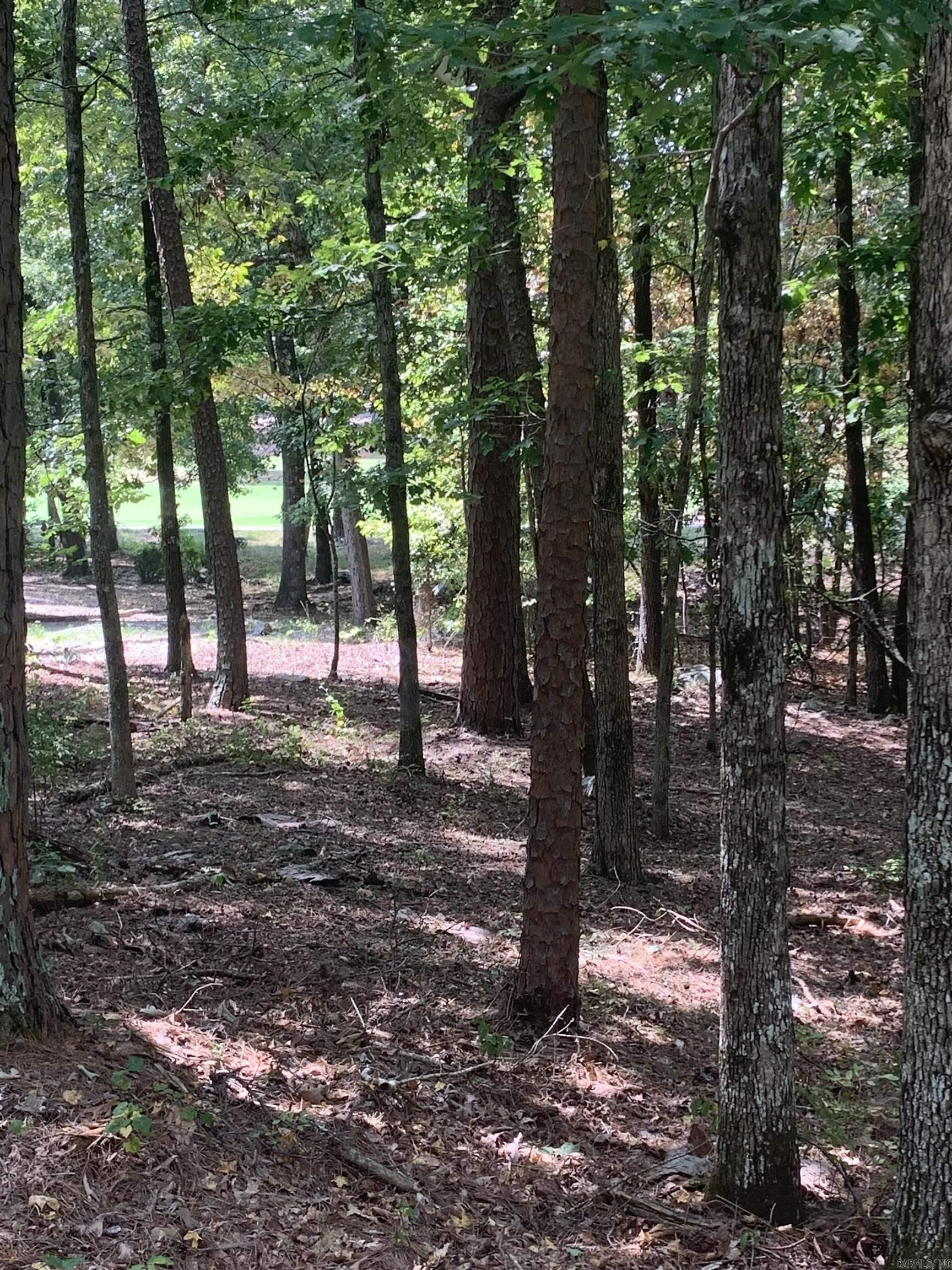 18  Acceso  Hot Springs Village, AR