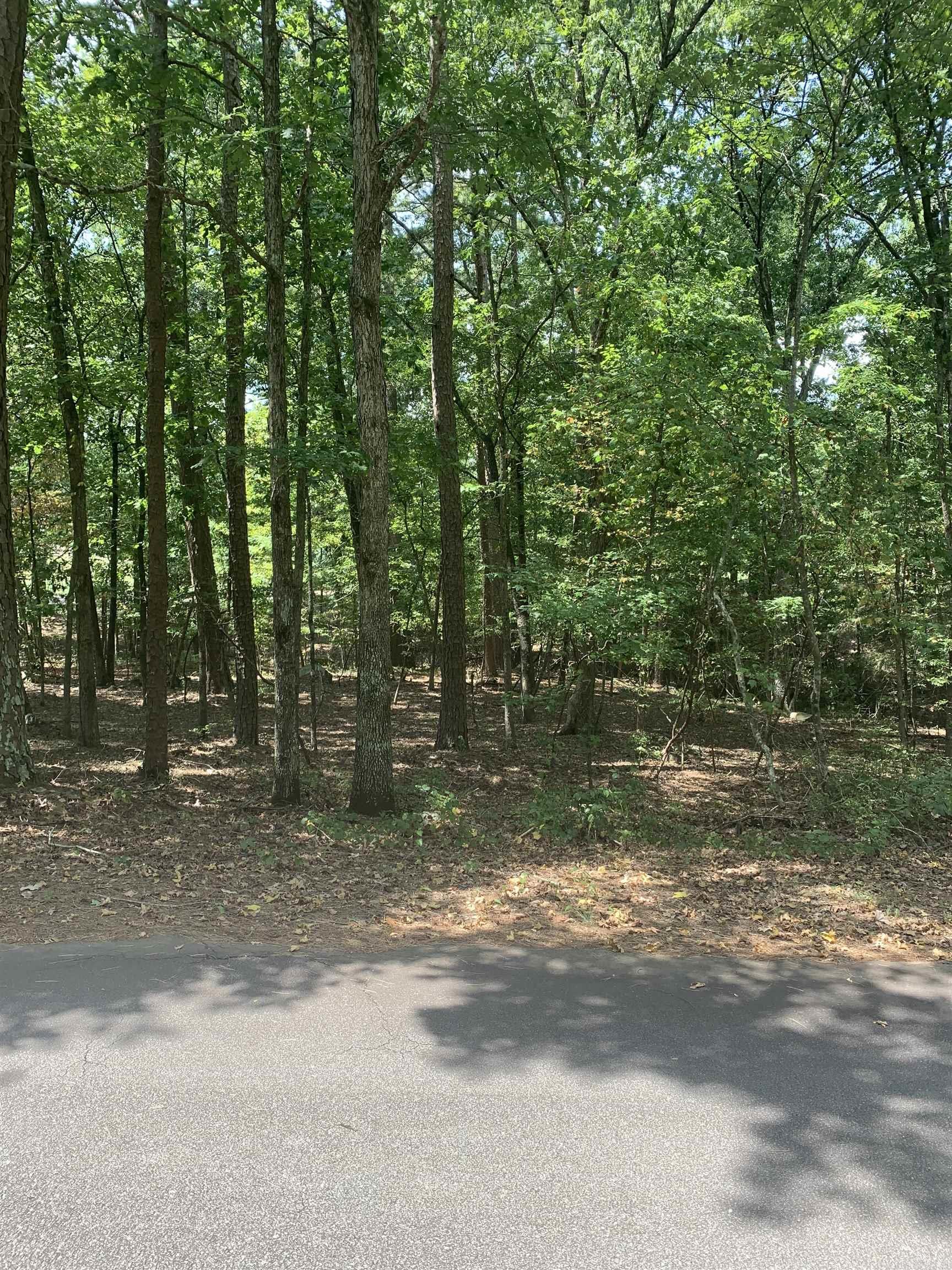18  Acceso  Hot Springs Village, AR