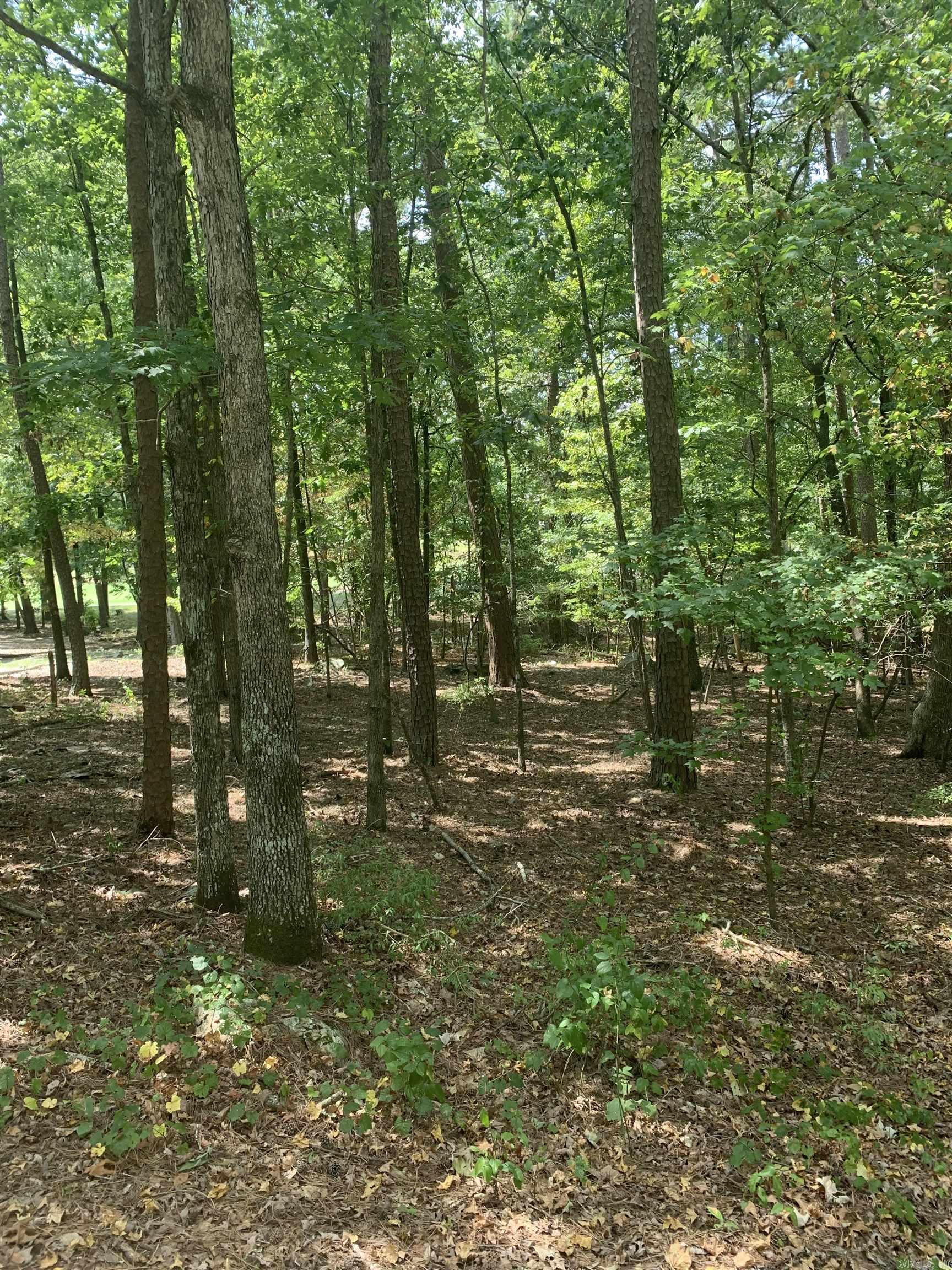 18  Acceso  Hot Springs Village, AR