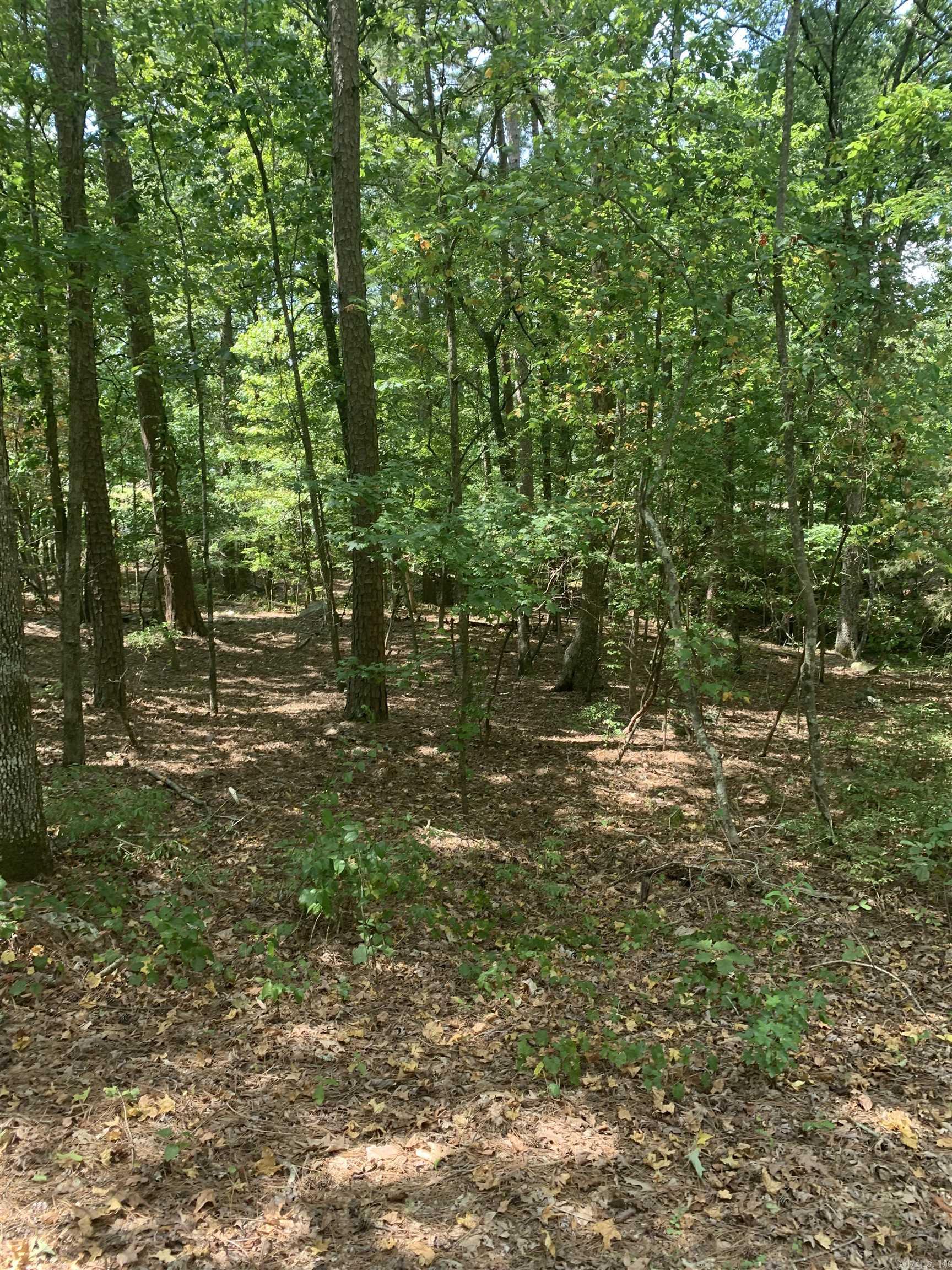 18  Acceso  Hot Springs Village, AR