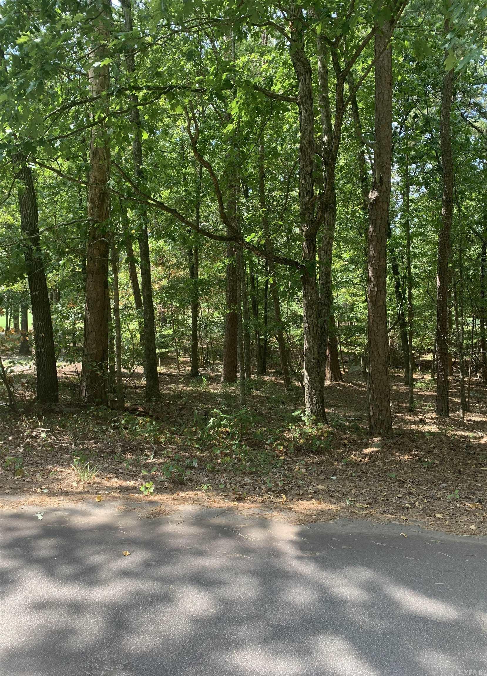 18  Acceso  Hot Springs Village, AR