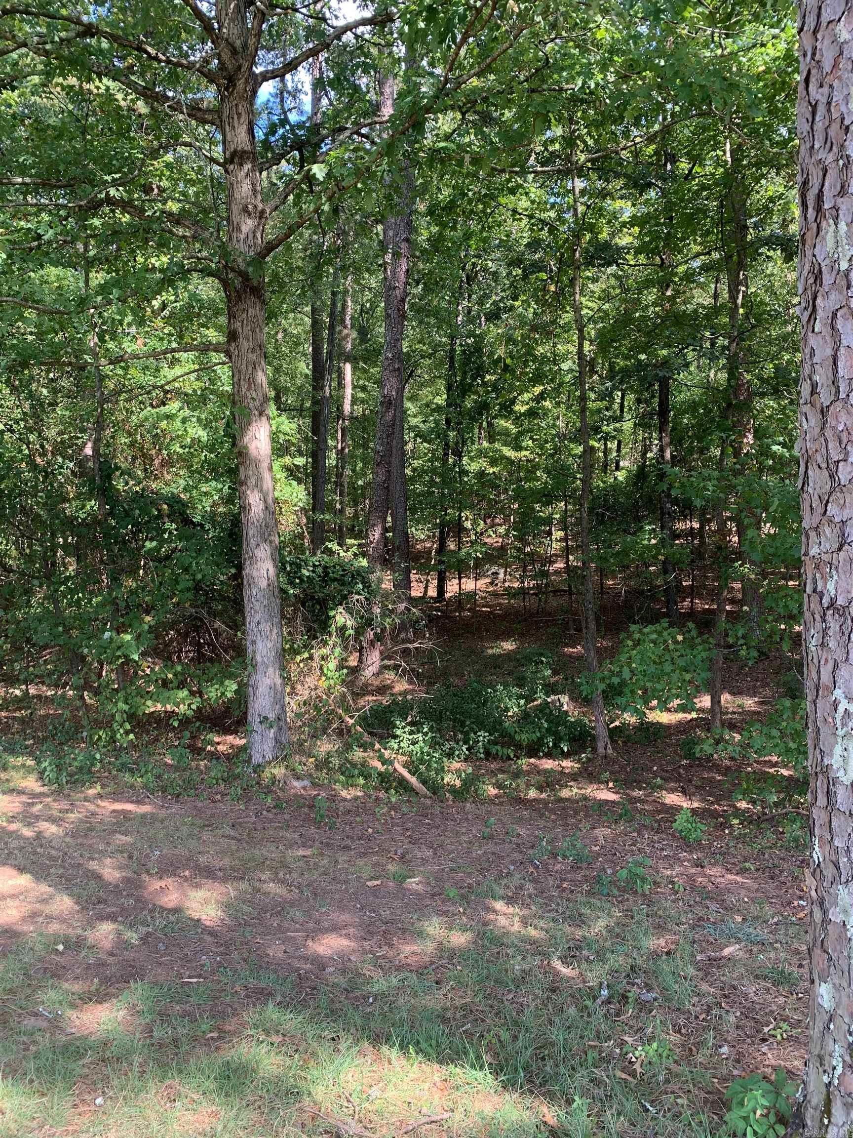 18  Acceso  Hot Springs Village, AR