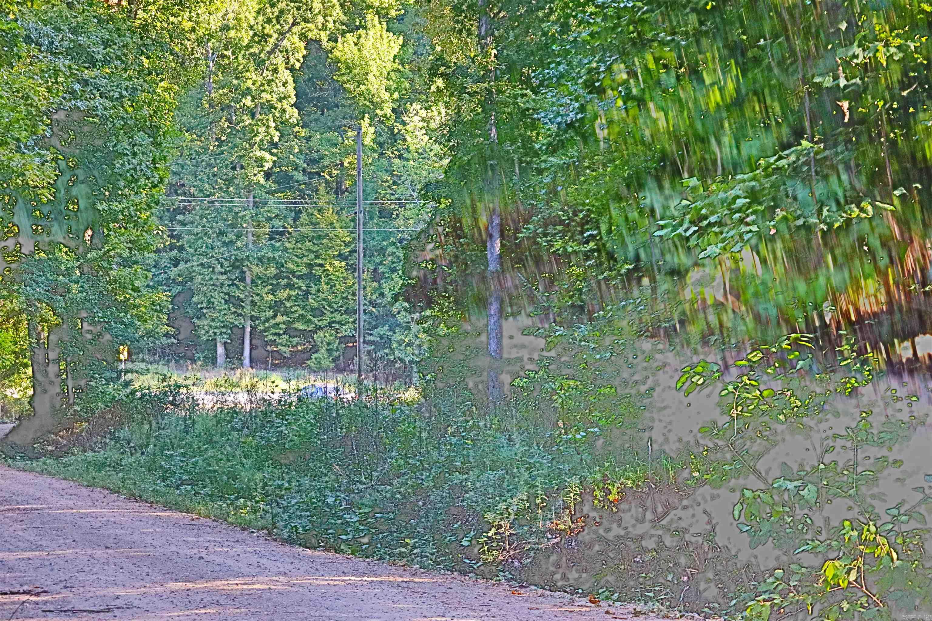 000  Cross Creek  Mount Ida, AR