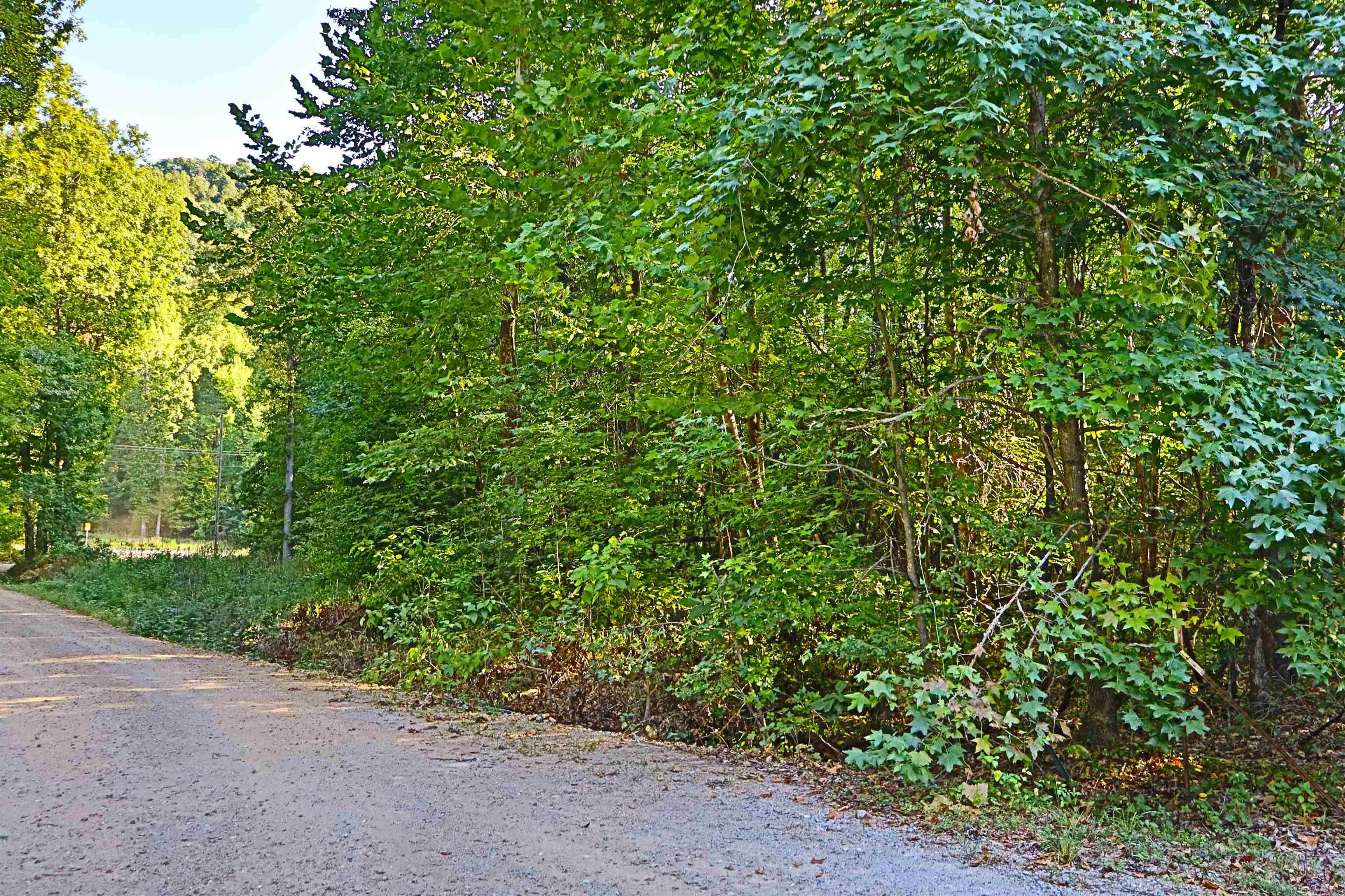 000  Cross Creek  Mount Ida, AR