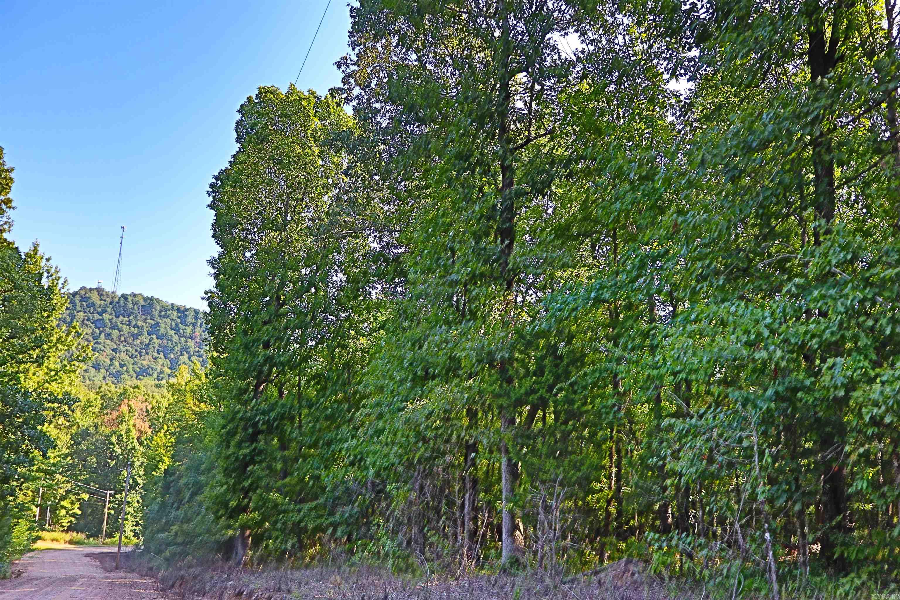 000  Cross Creek  Mount Ida, AR