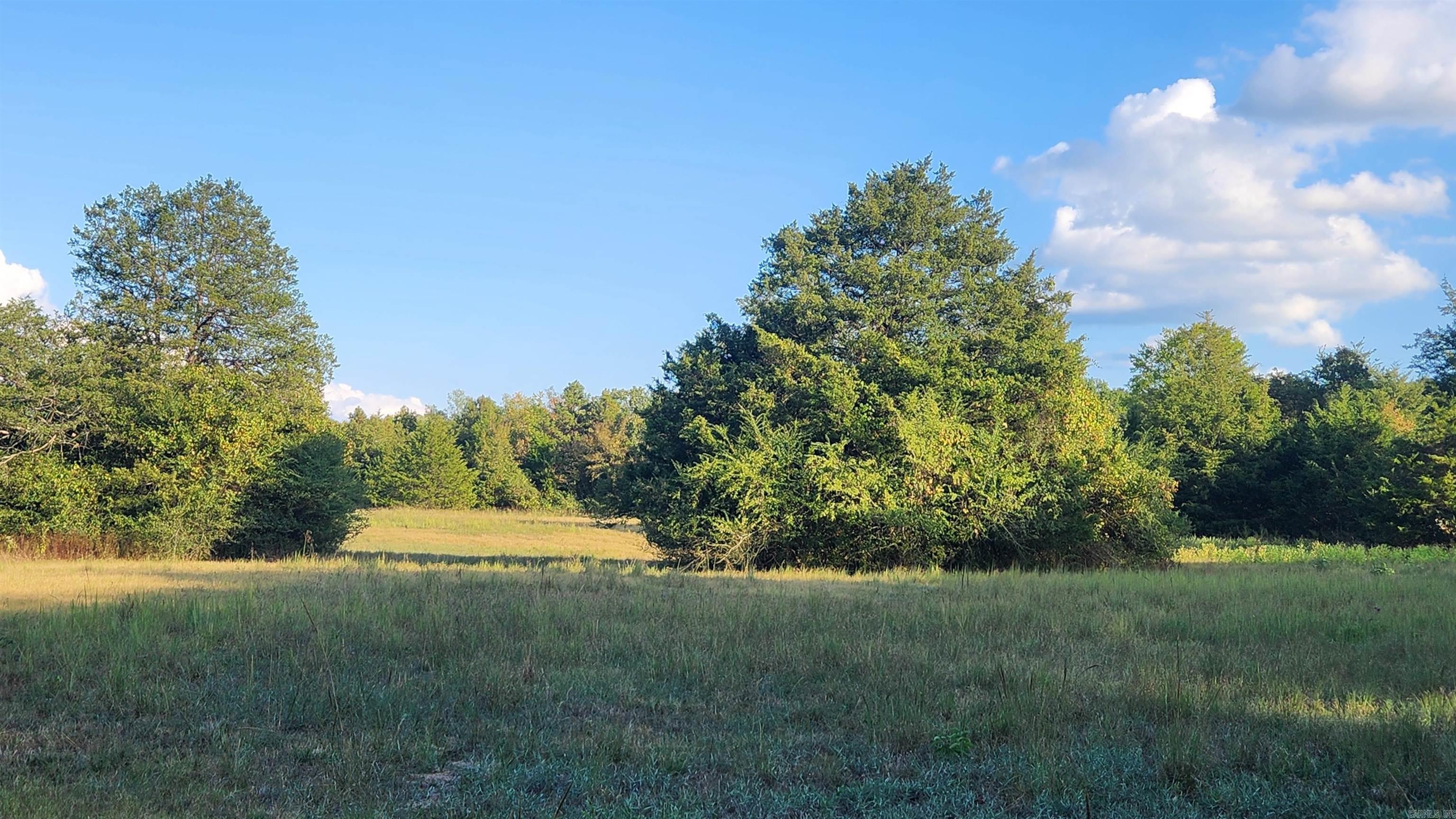 TBD  Lynda Ln  Oden, AR