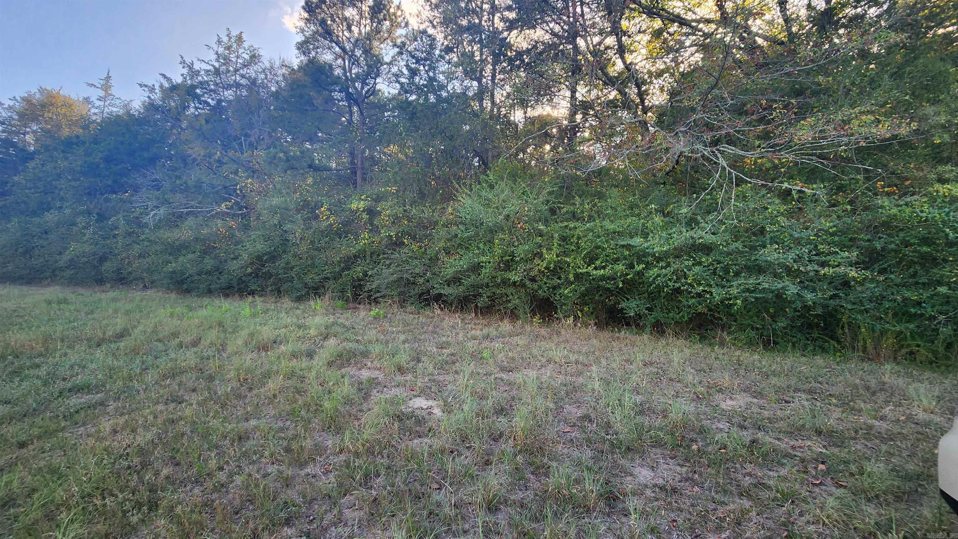 TBD  Lynda Ln  Oden, AR