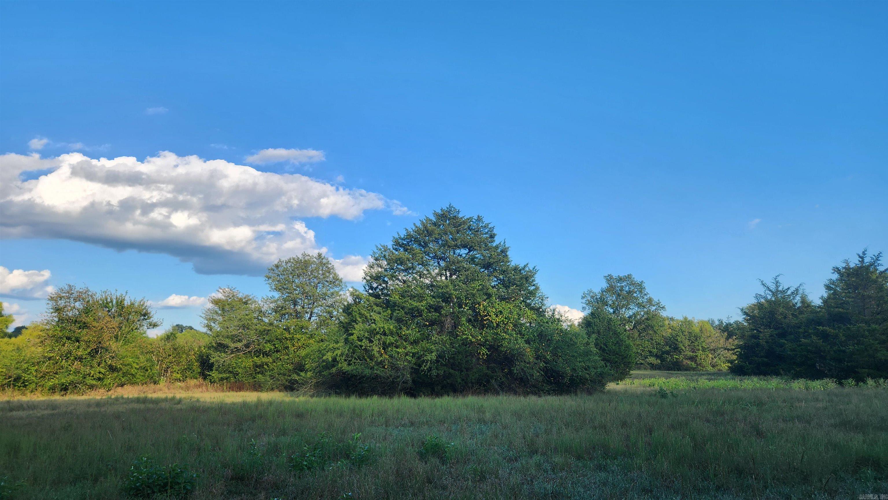 TBD  Lynda Ln  Oden, AR