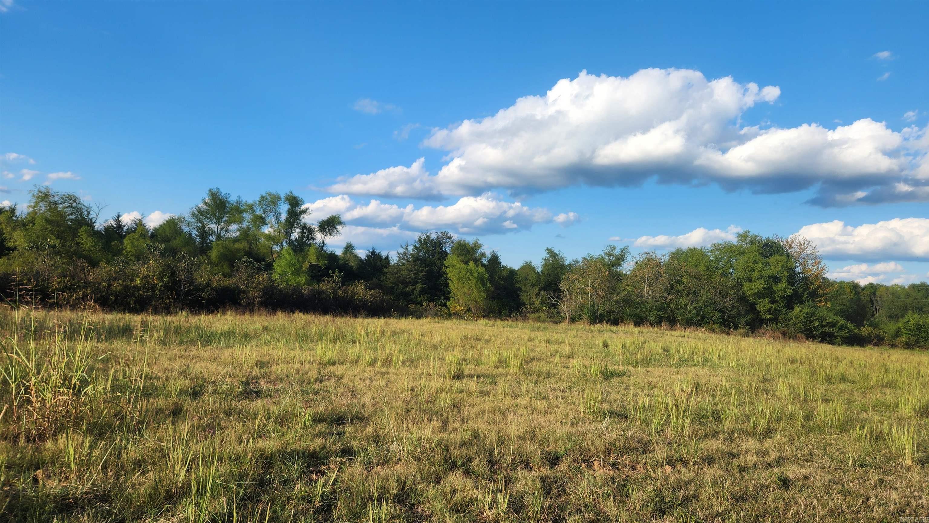 TBD  Lynda Ln  Oden, AR