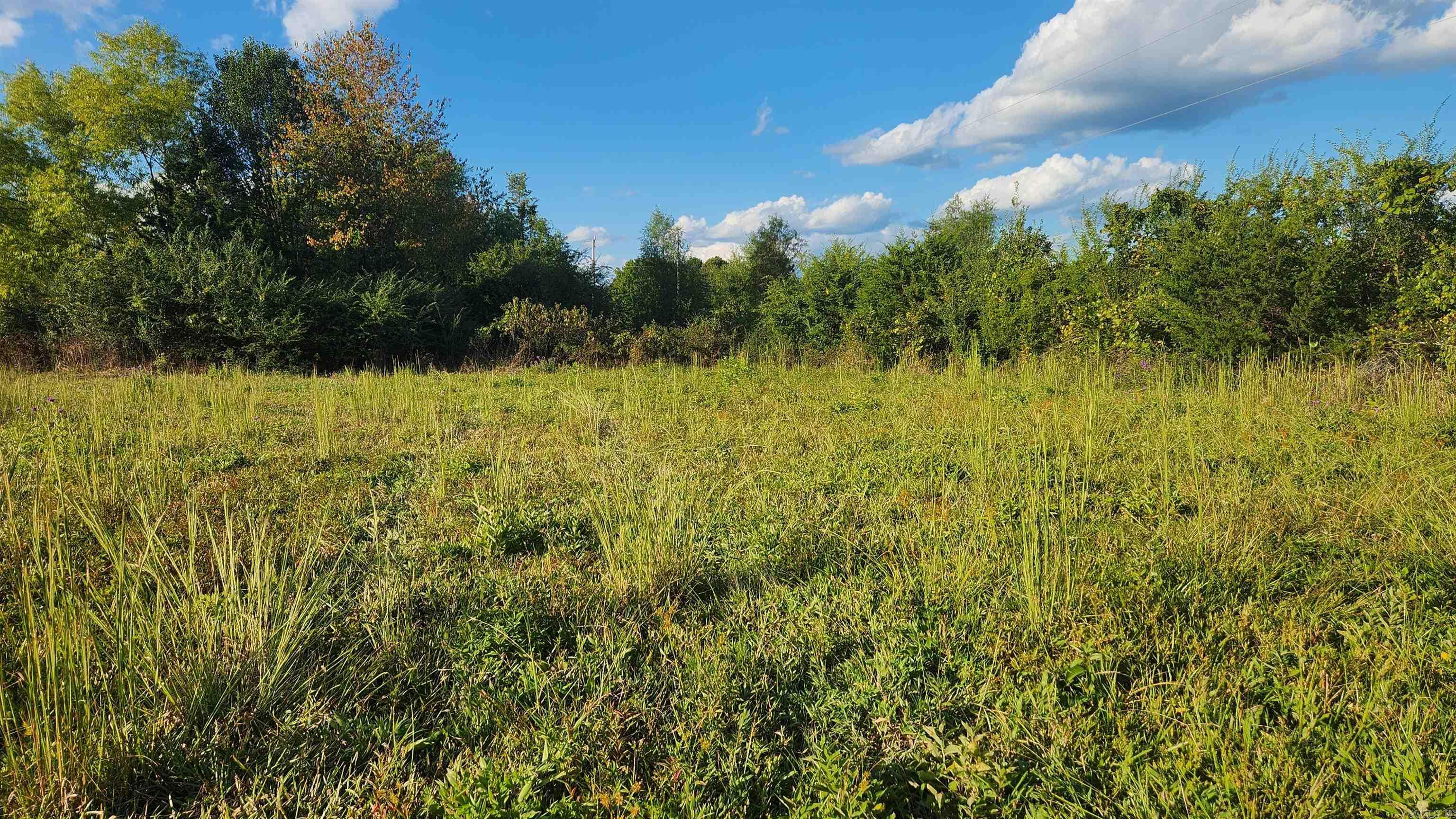 TBD  Lynda Ln  Oden, AR
