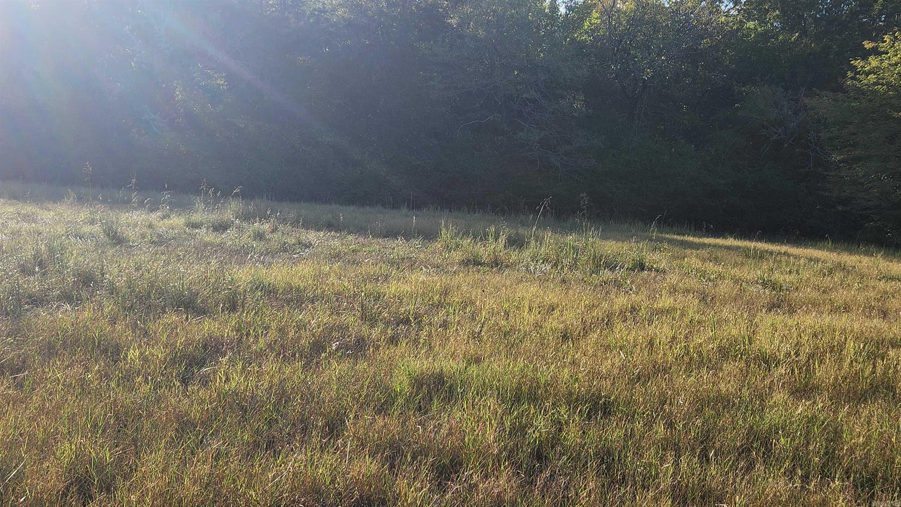 TBD  Lynda Ln  Oden, AR