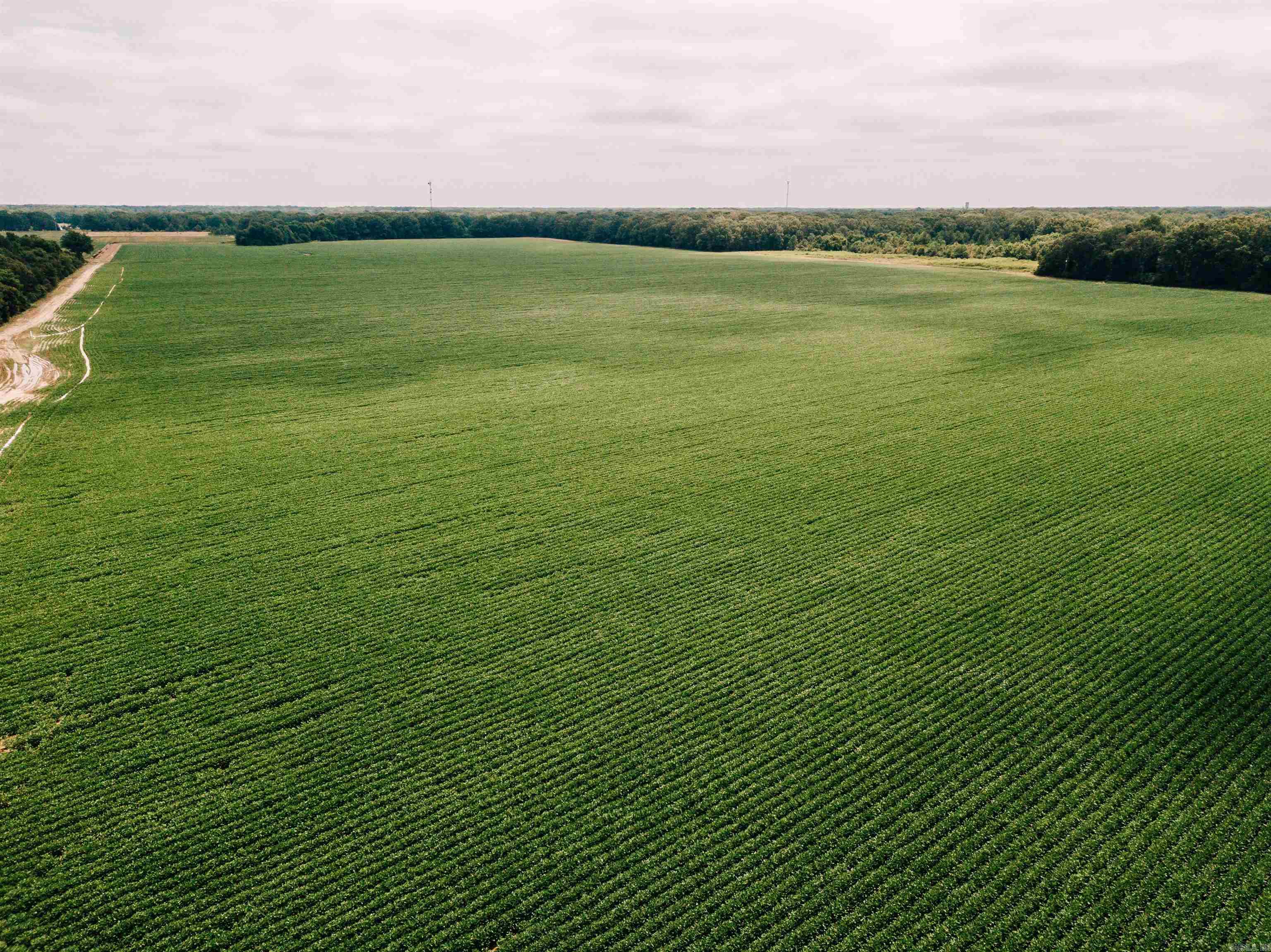 00  Hwy 130  DeWitt, AR