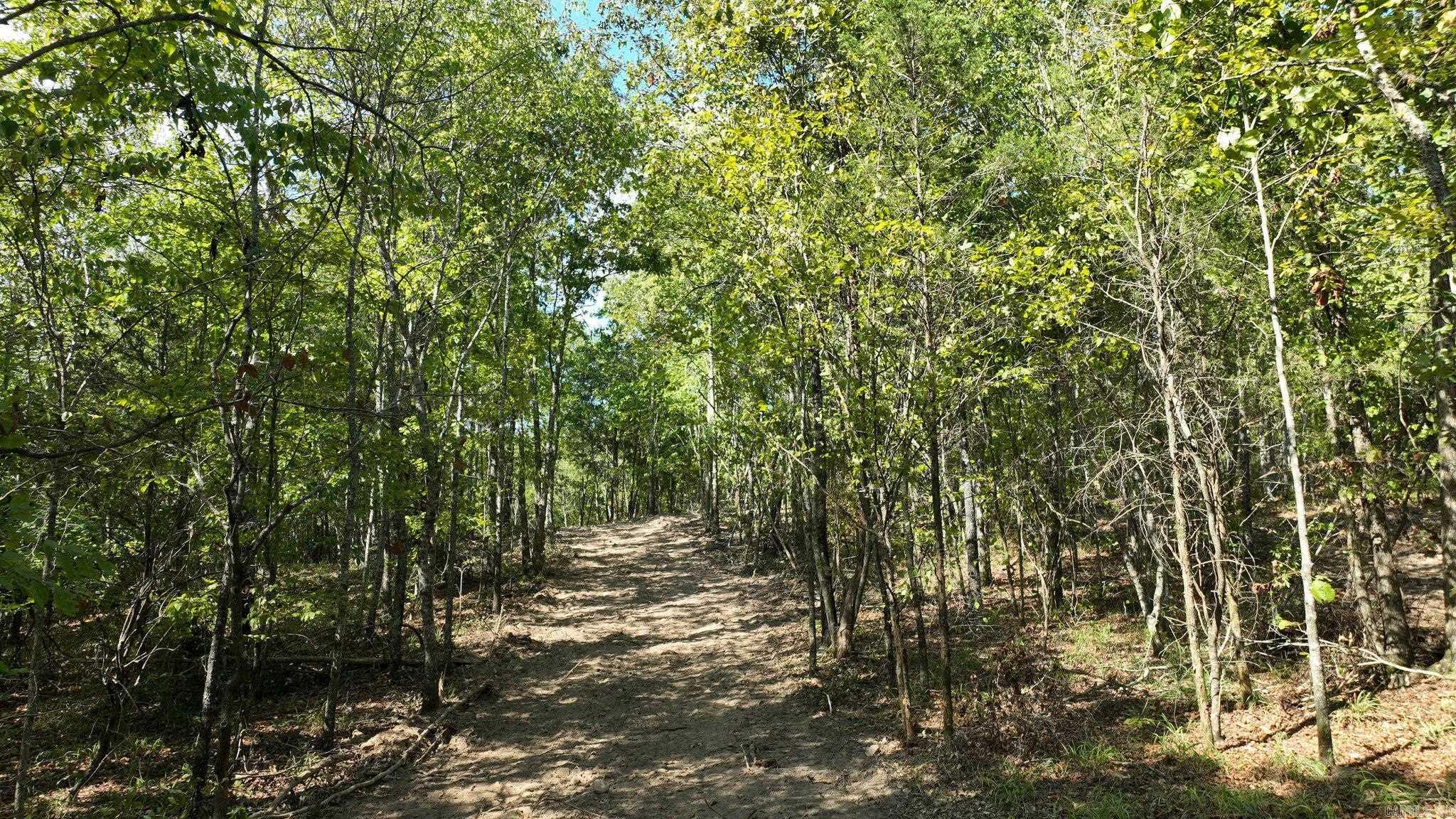 TBD, Tract 2  Polk Road 158  Mena, AR