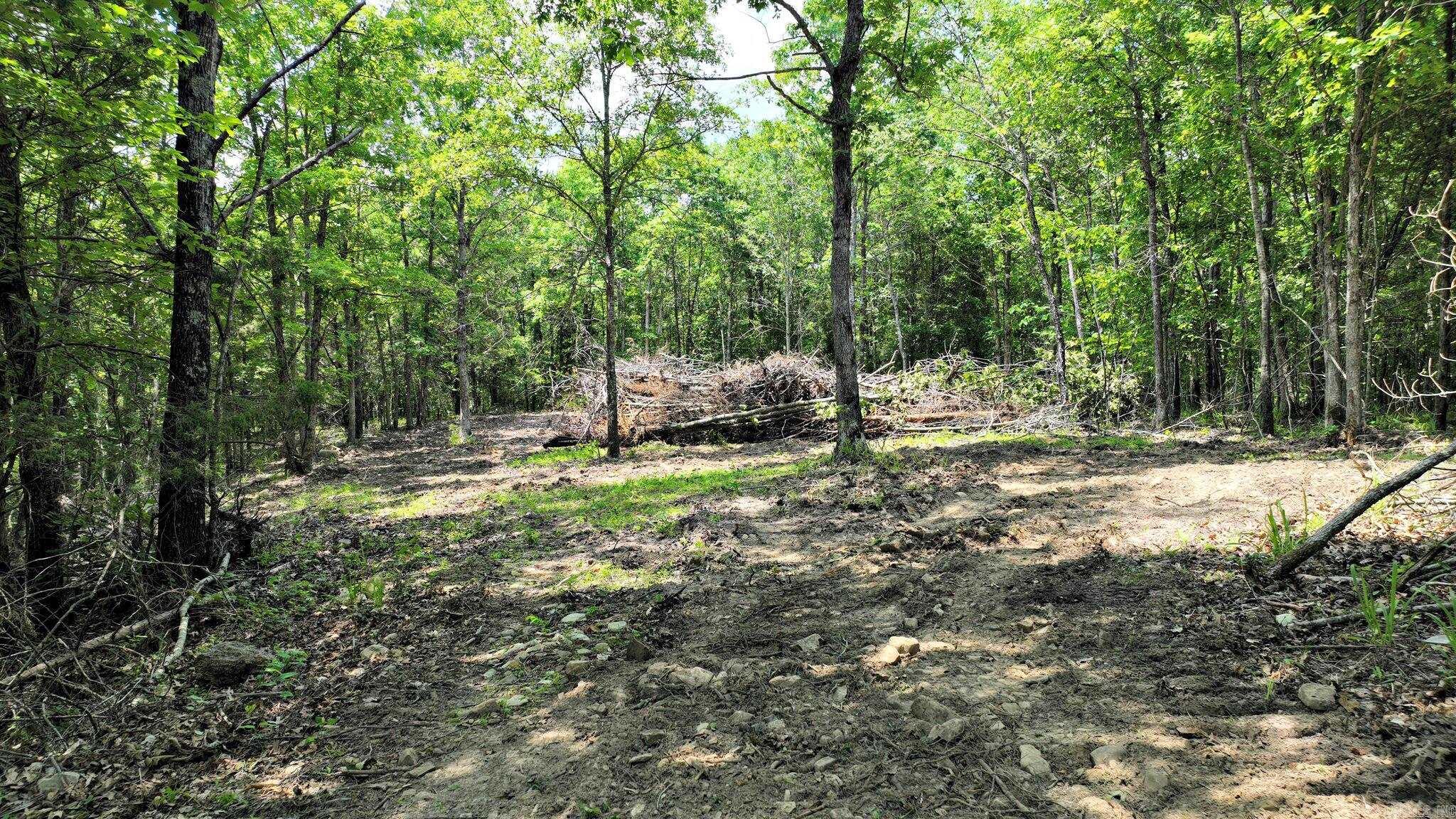 TBD, Tract 2 Polk Road 158
