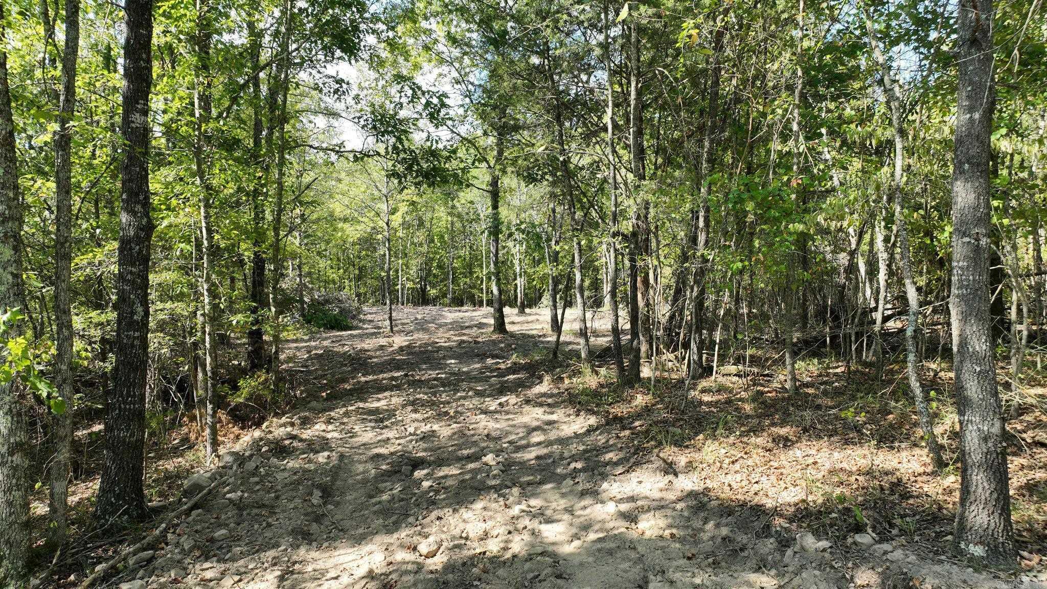 TBD, Tract 2  Polk Road 158  Mena, AR