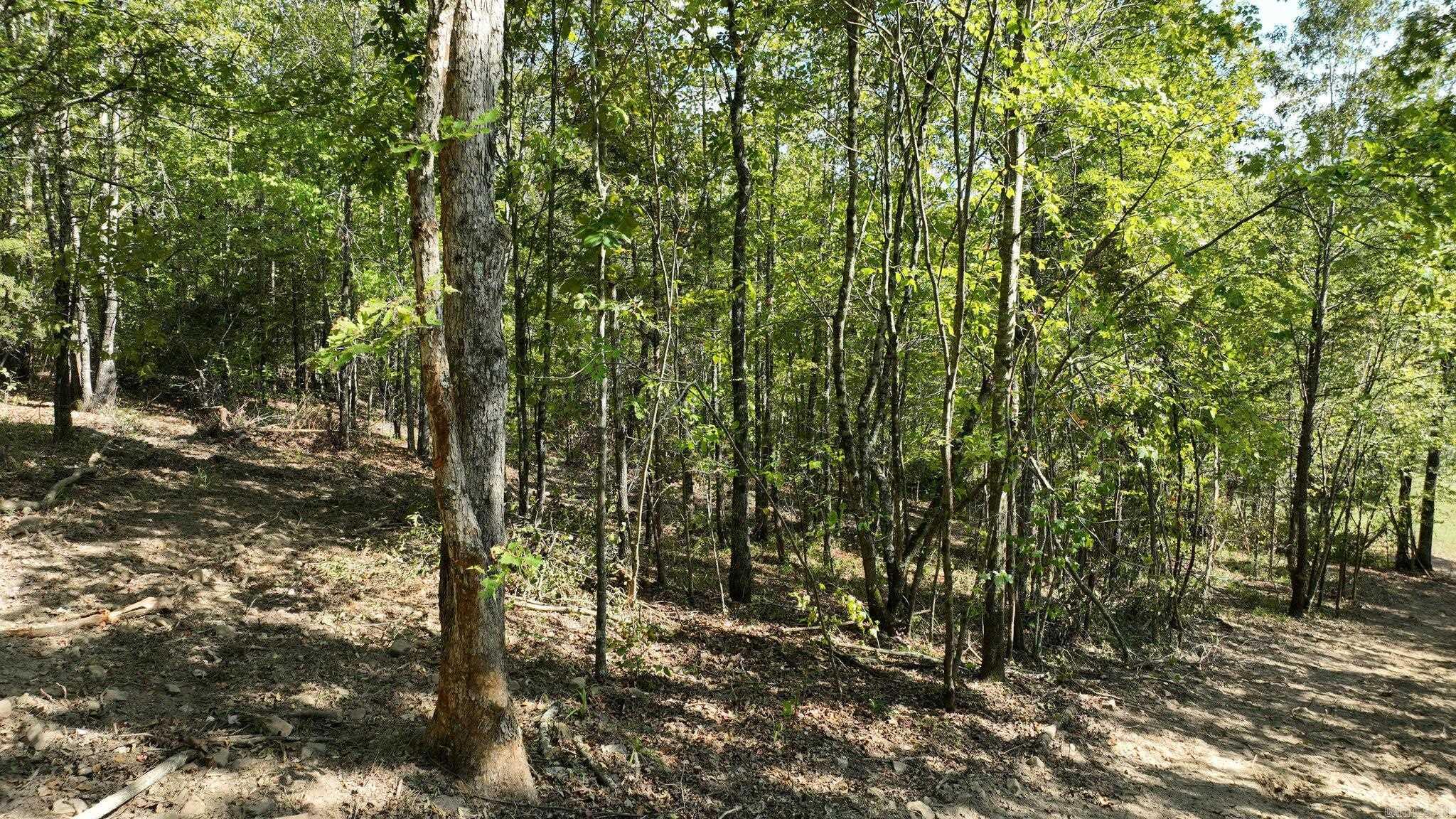 TBD, Tract 2  Polk Road 158  Mena, AR