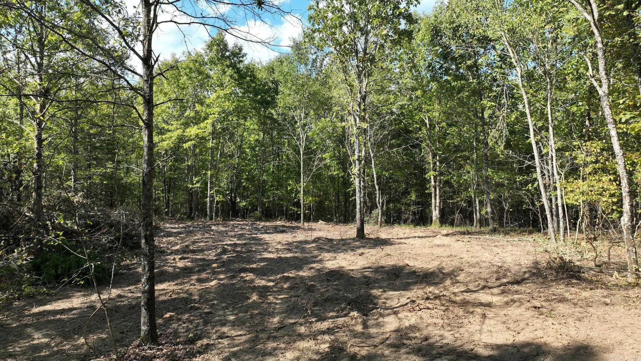 TBD, Tract 2  Polk Road 158  Mena, AR
