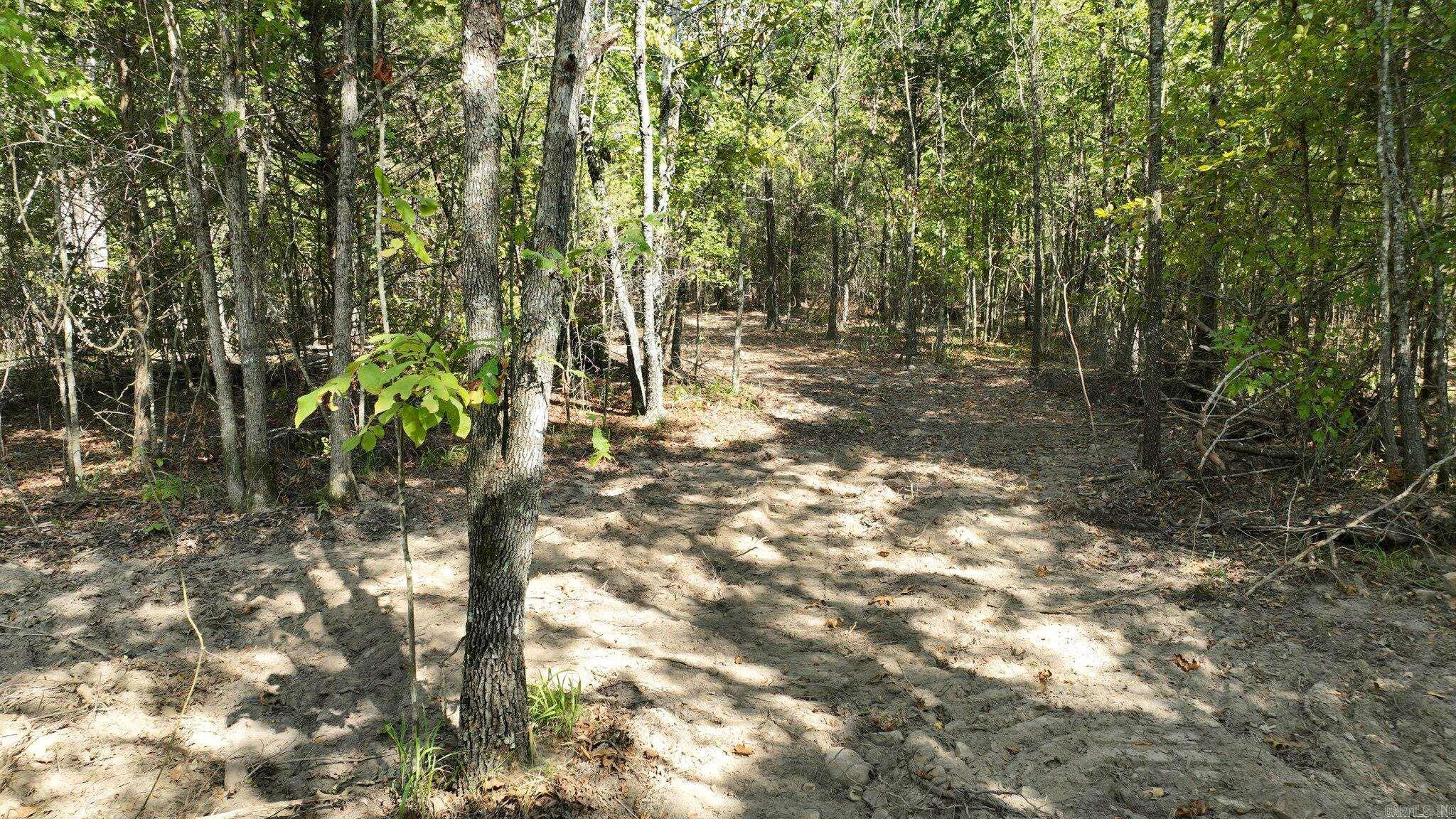 TBD, Tract 2  Polk Road 158  Mena, AR