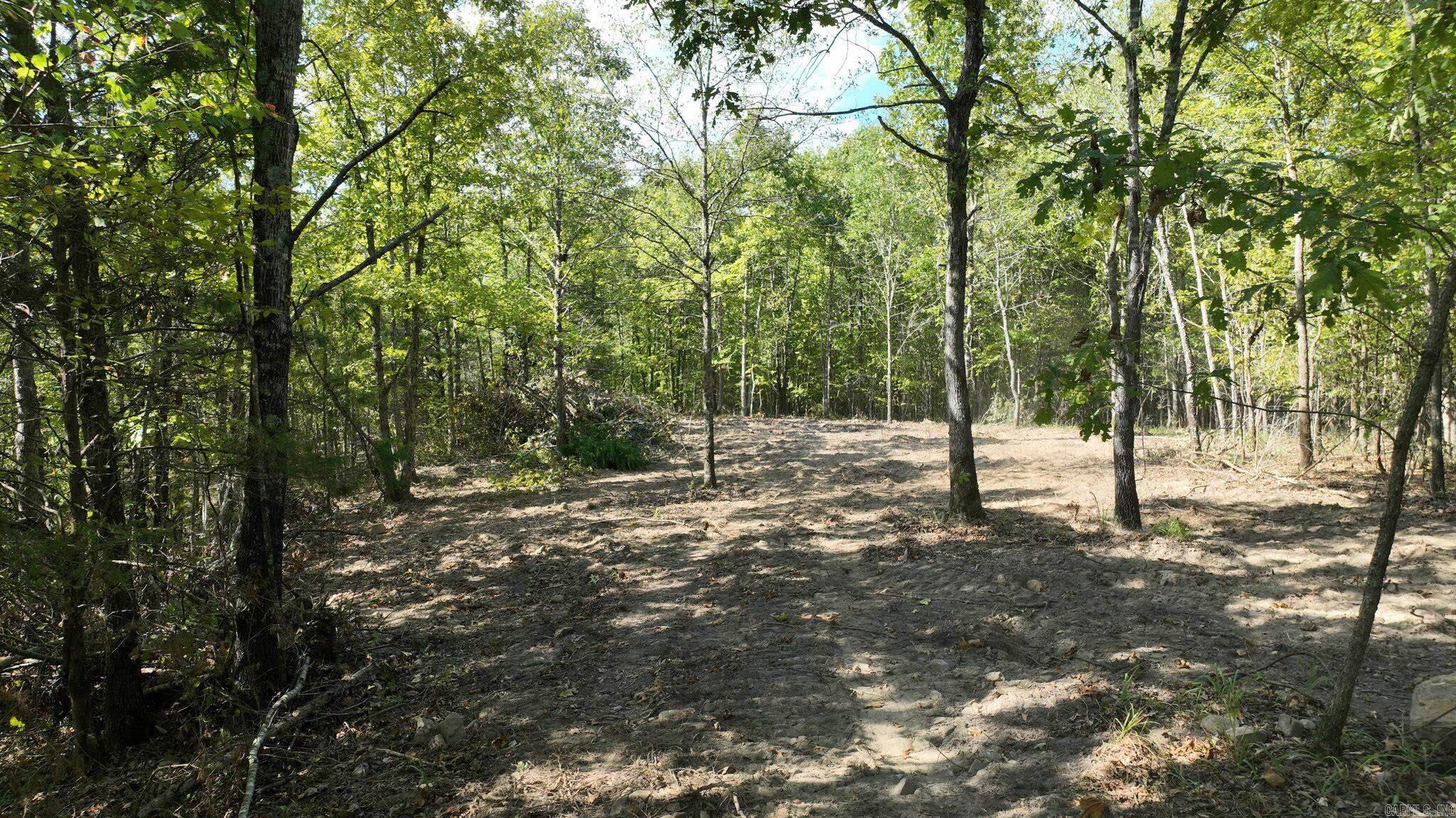 TBD, Tract 2  Polk Road 158  Mena, AR
