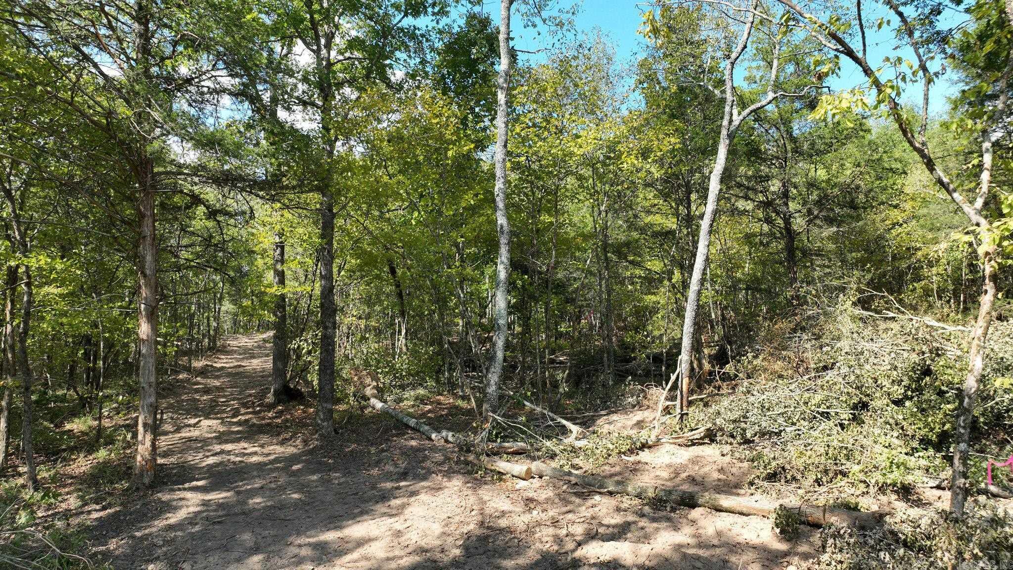 TBD, Tract 2  Polk Road 158  Mena, AR