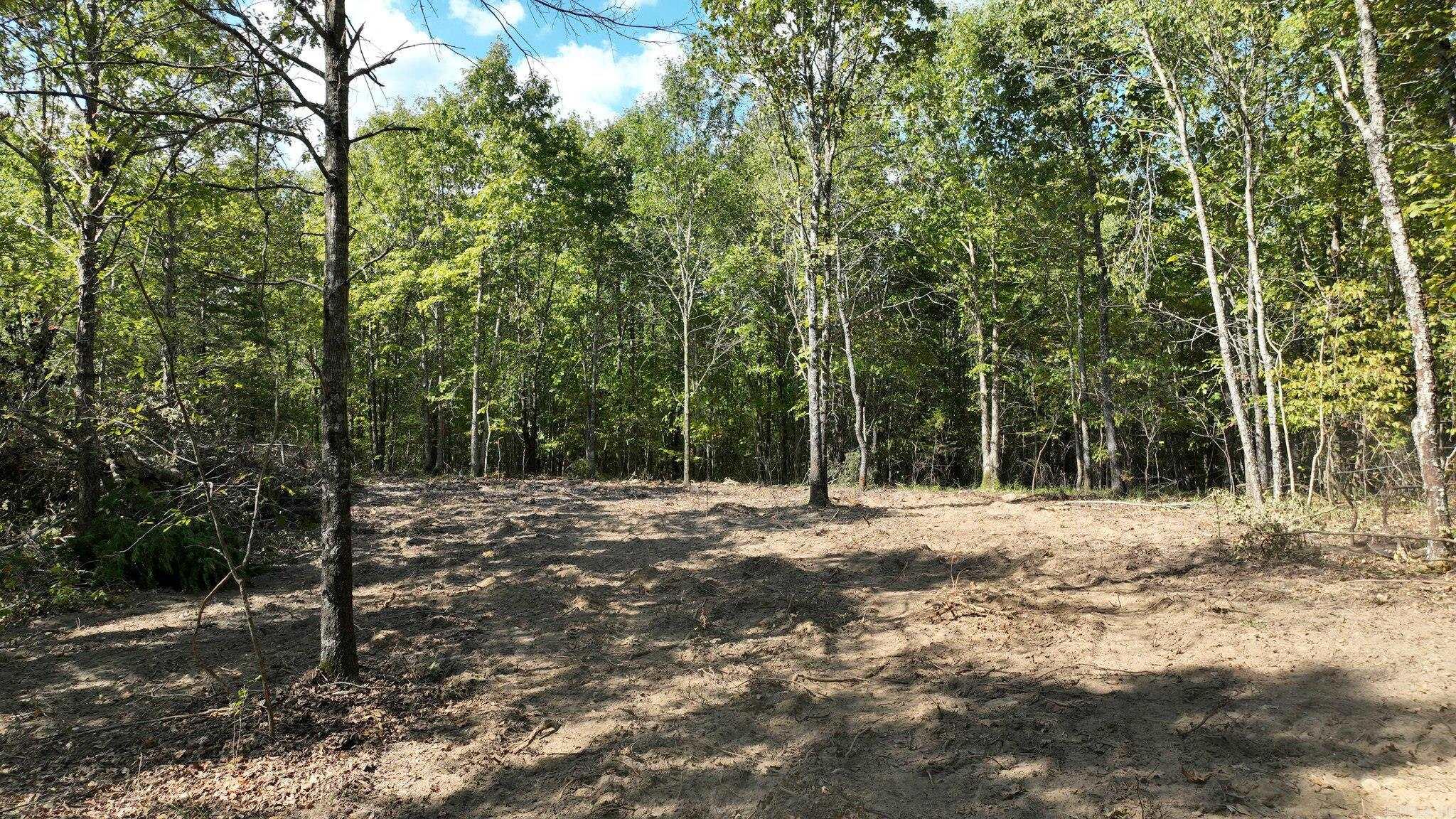 TBD, Tract 2  Polk Road 158  Mena, AR