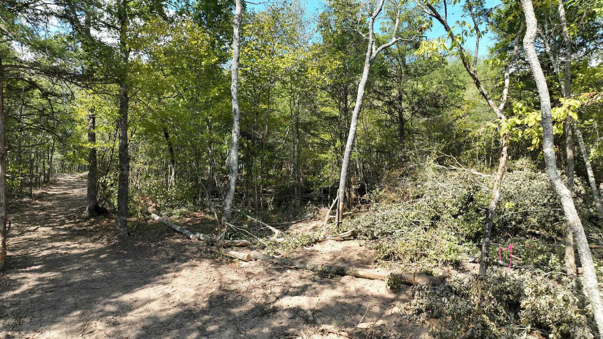 TBD, Tract 2  Polk Road 158  Mena, AR