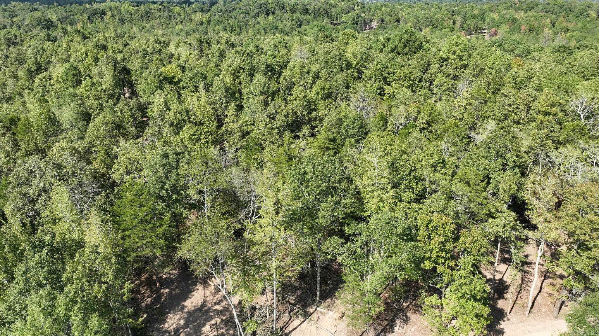 TBD, Tract 2  Polk Road 158  Mena, AR