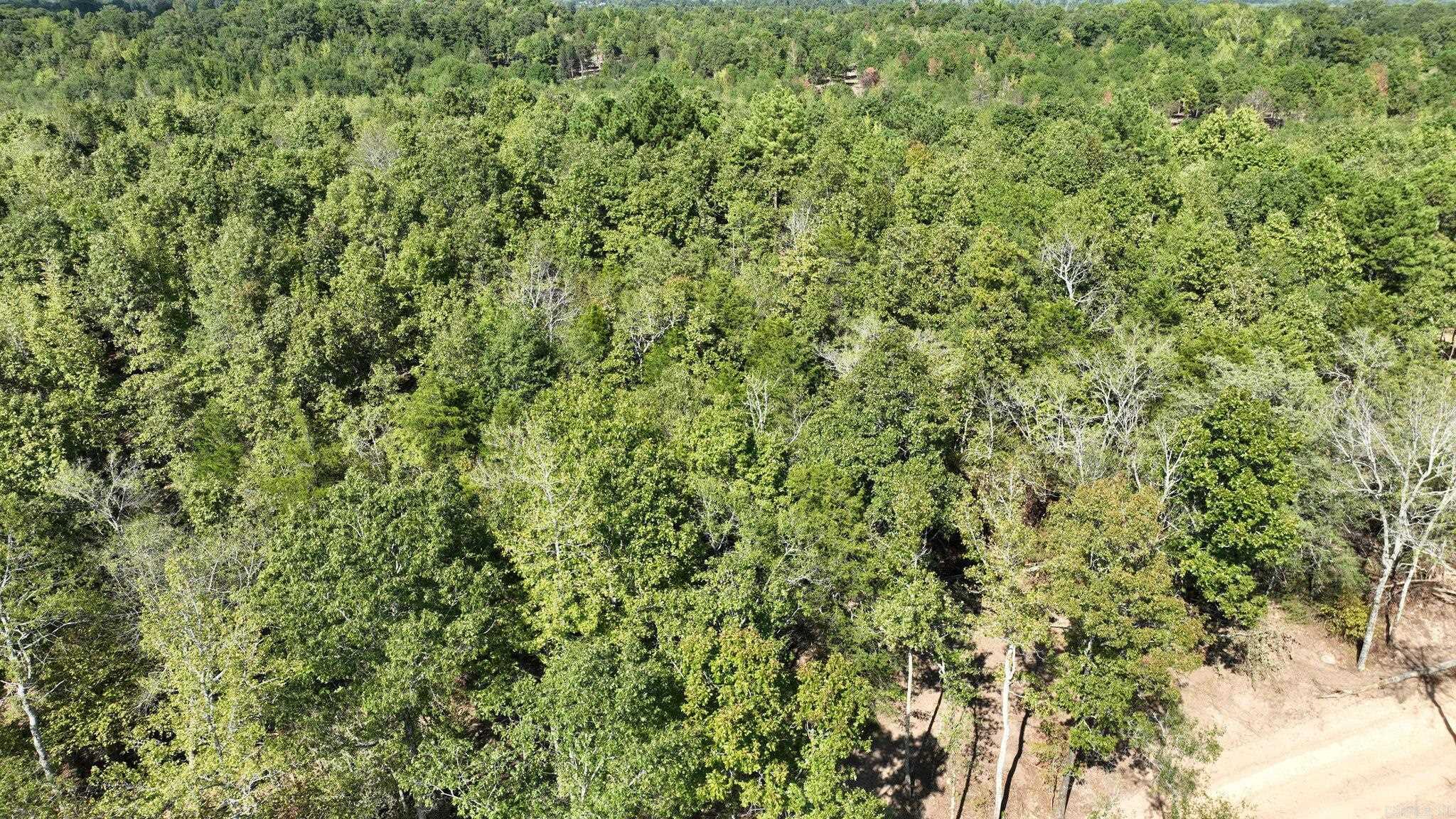 TBD, Tract 2  Polk Road 158  Mena, AR