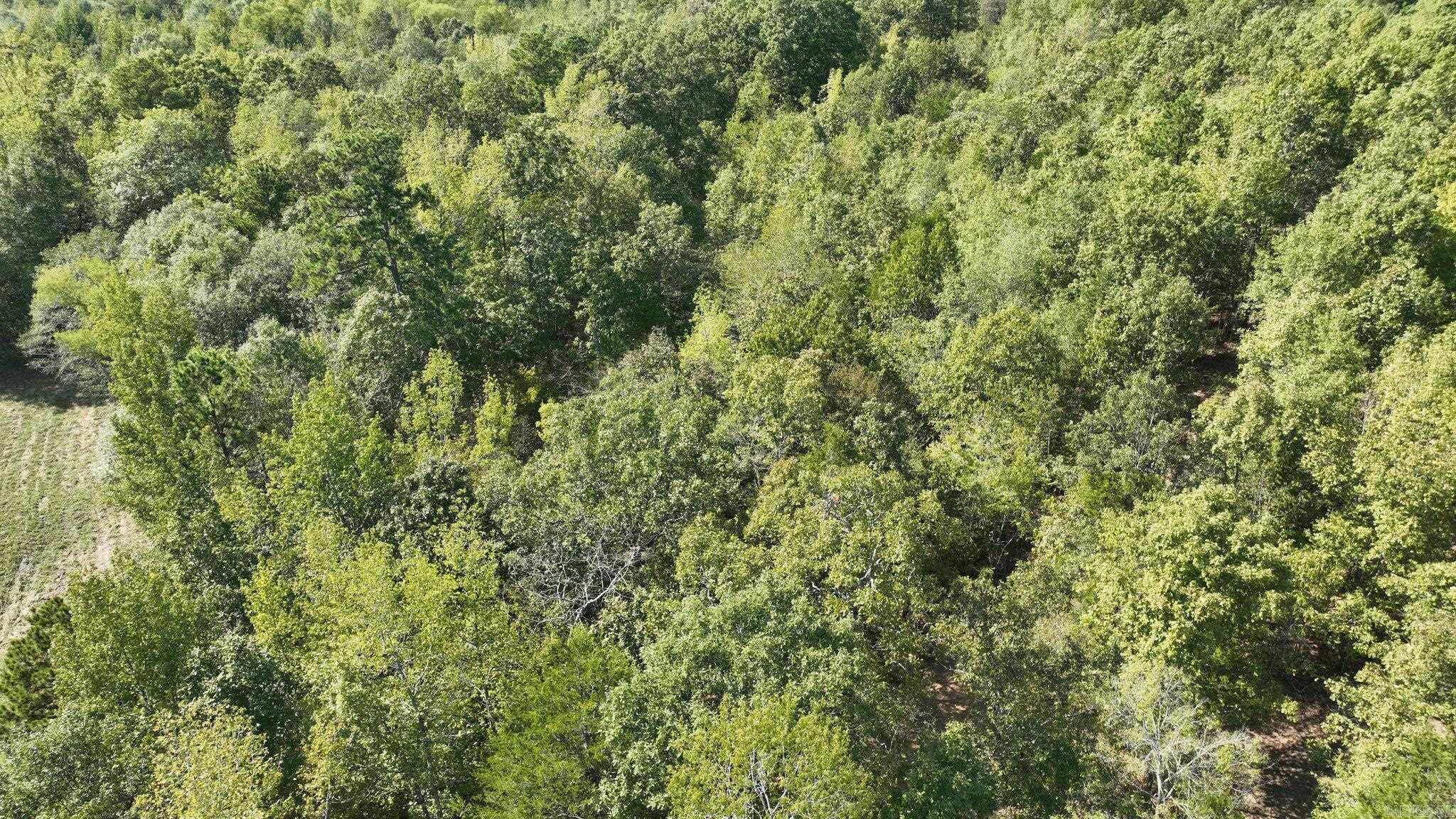 TBD, Tract 2  Polk Road 158  Mena, AR